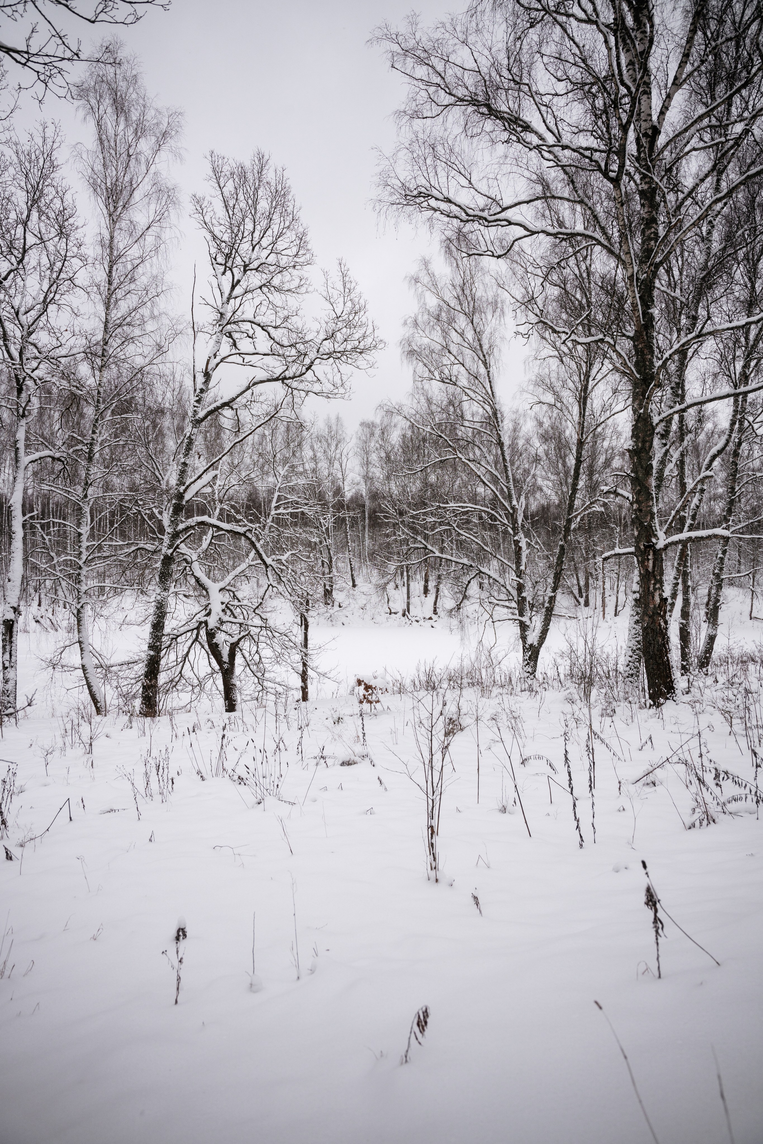 Поездка к р. Песочня и деревне Раевское. Vlad Trykov
