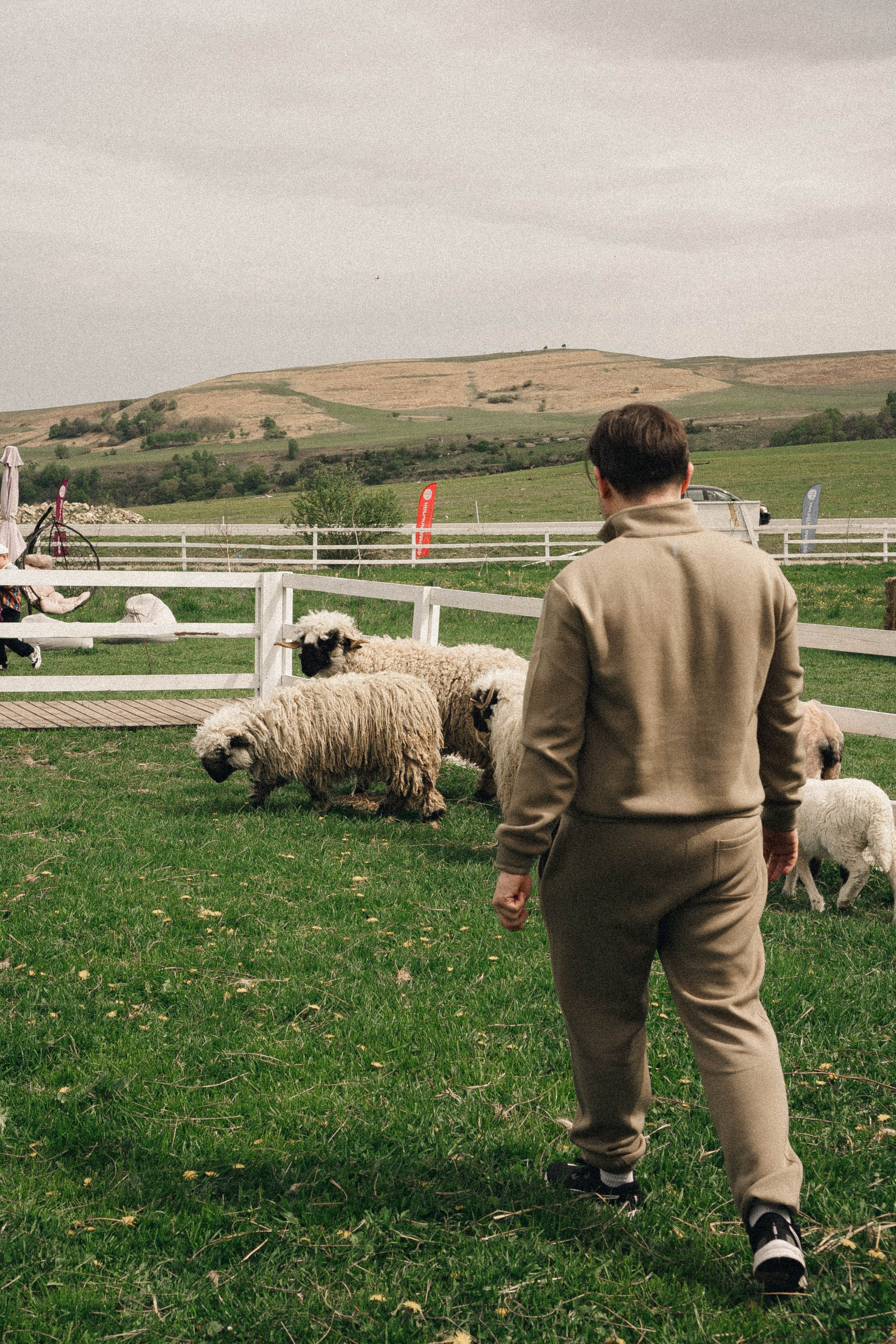 Ферма Альпак. Профессиональный фотограф, Санкт-Петербург — Виктория Богомолова