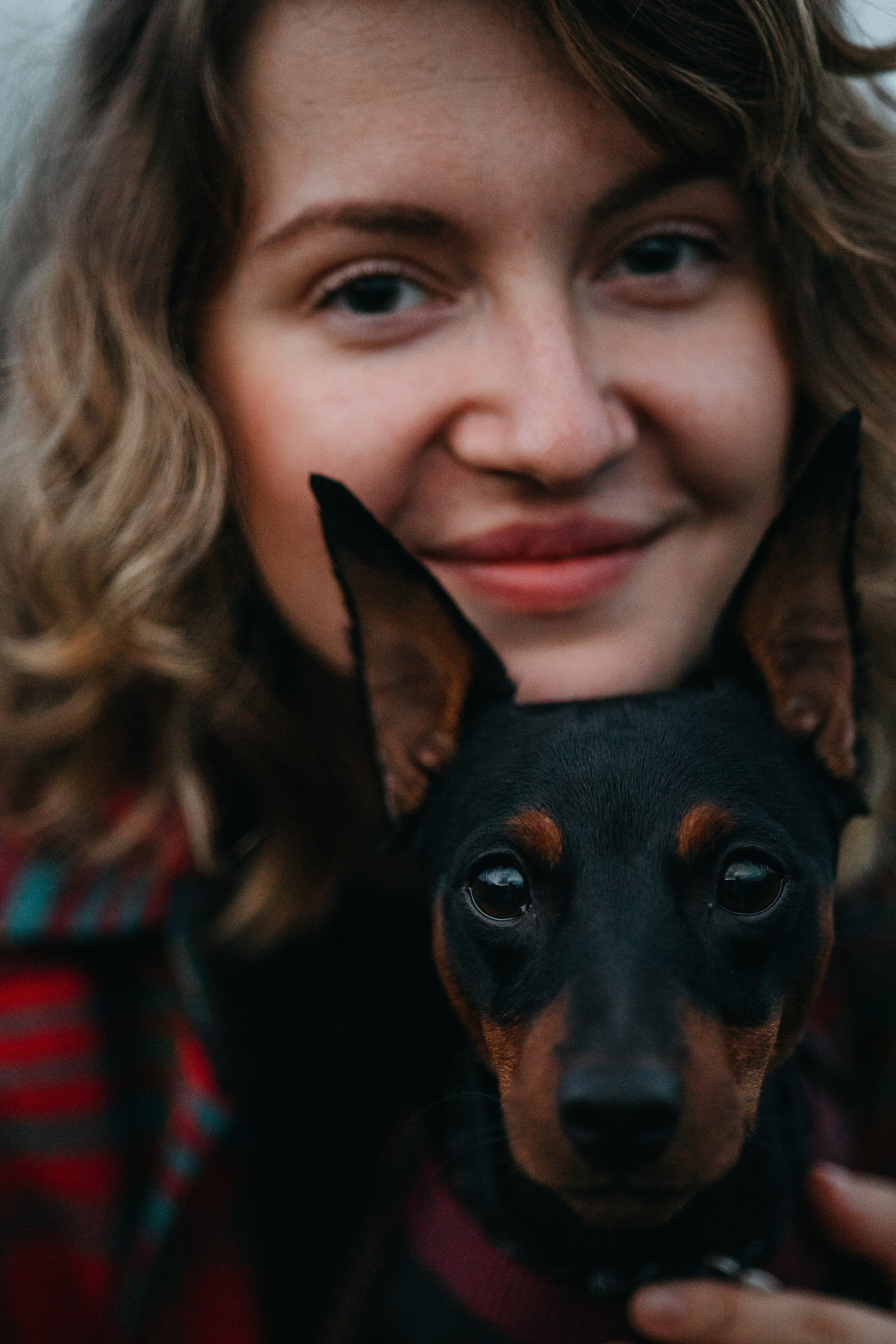 Сириус и его семья. Фотограф — Анималист | Санкт-Петербург
