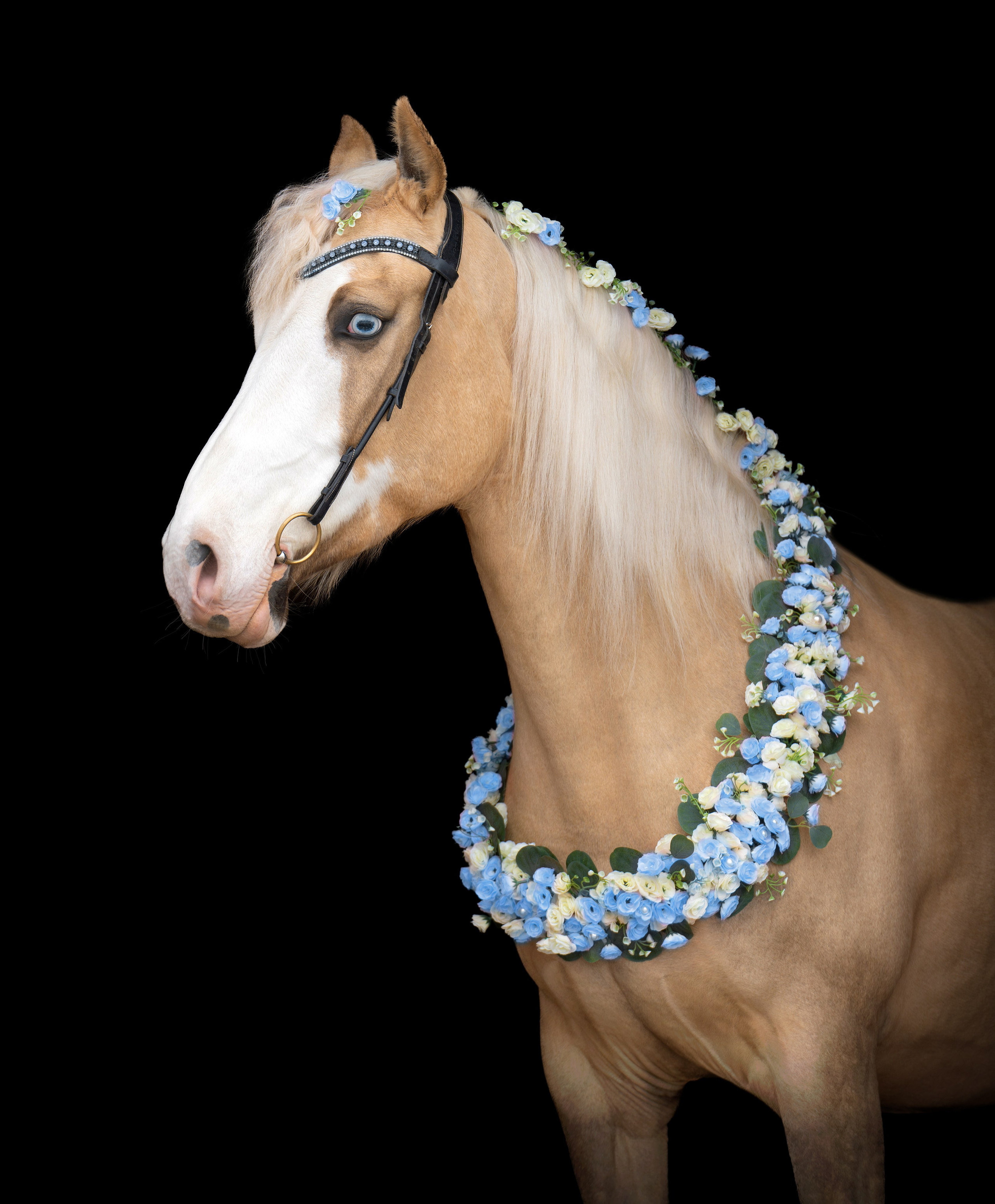 Весенний фото день. Фотограф Дарья Соколовская