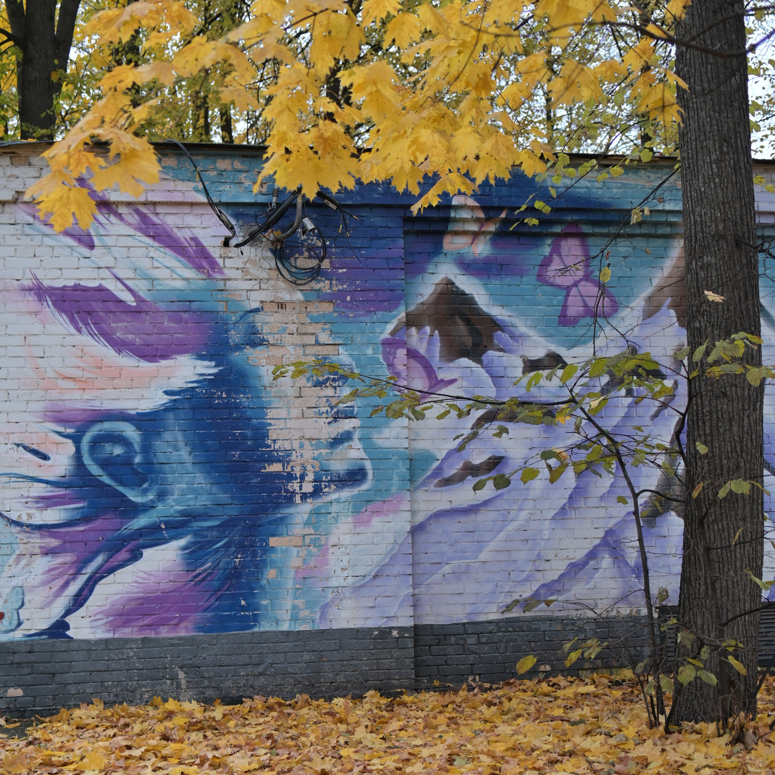 20241026 Сокольники. Дмитрий Ремизов. Фотография, как хобби