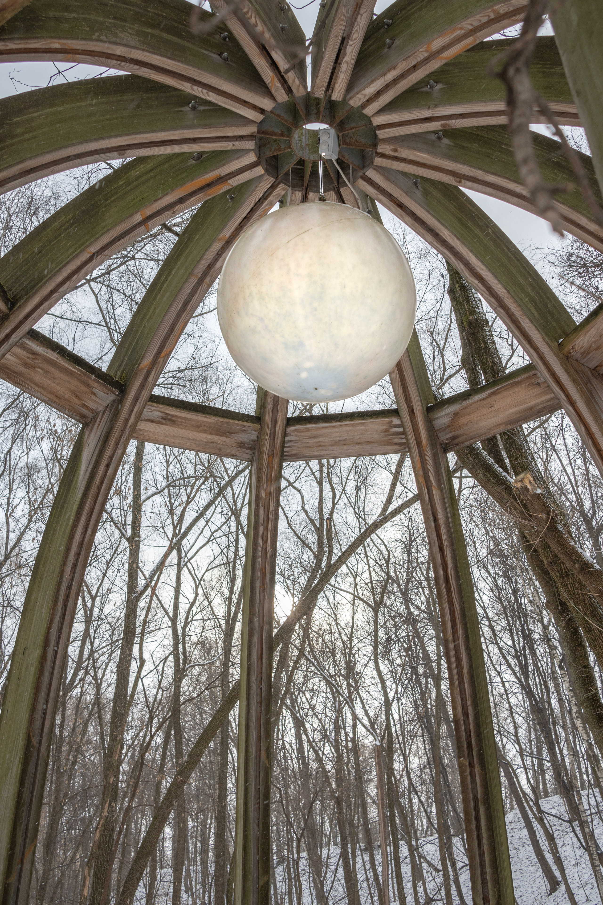 20250216 Нескучный сад. Дмитрий Ремизов. Фотография, как хобби