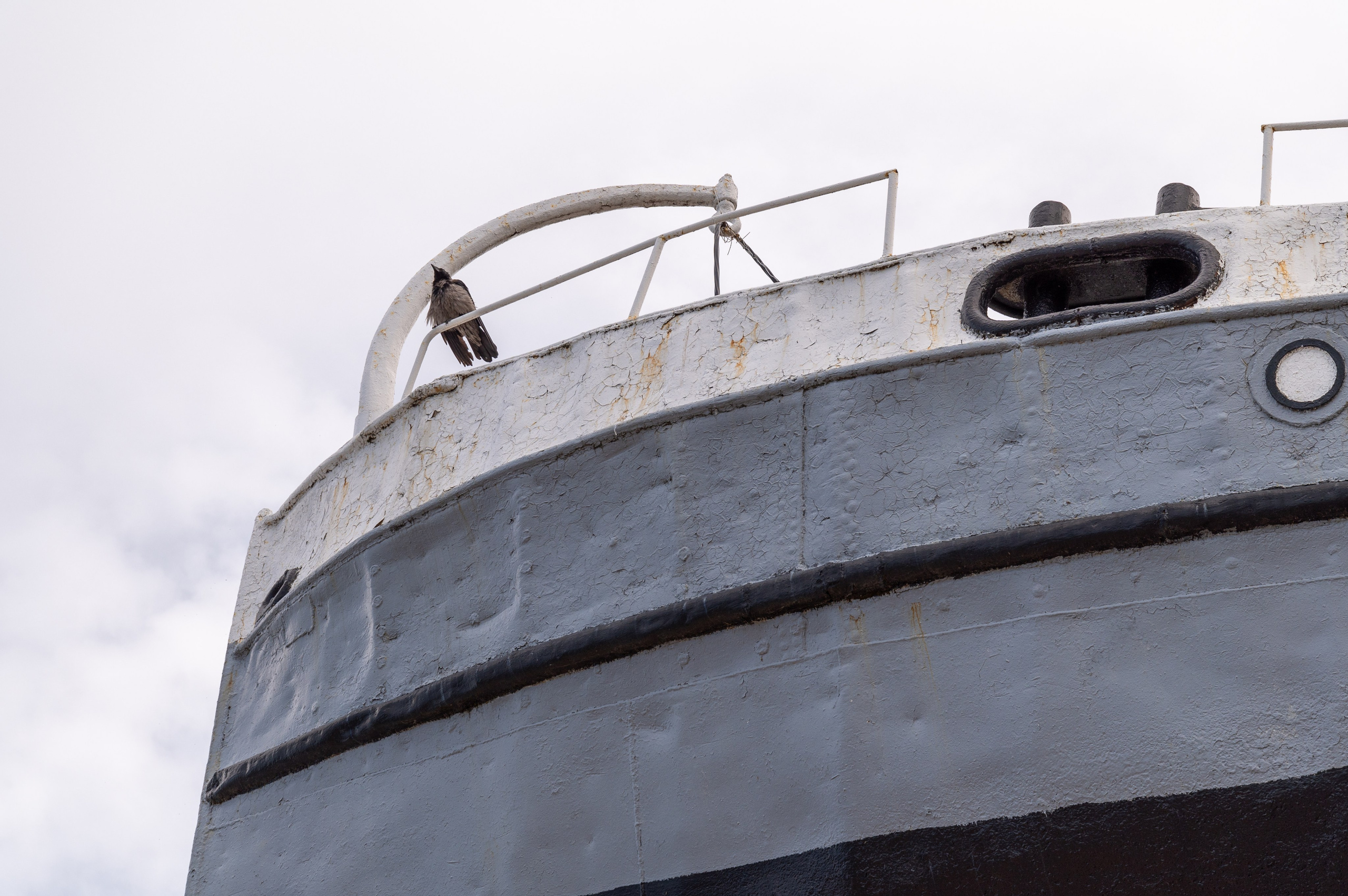 20230612-16 Нижний Новгород. Дмитрий Ремизов. Фотография, как хобби