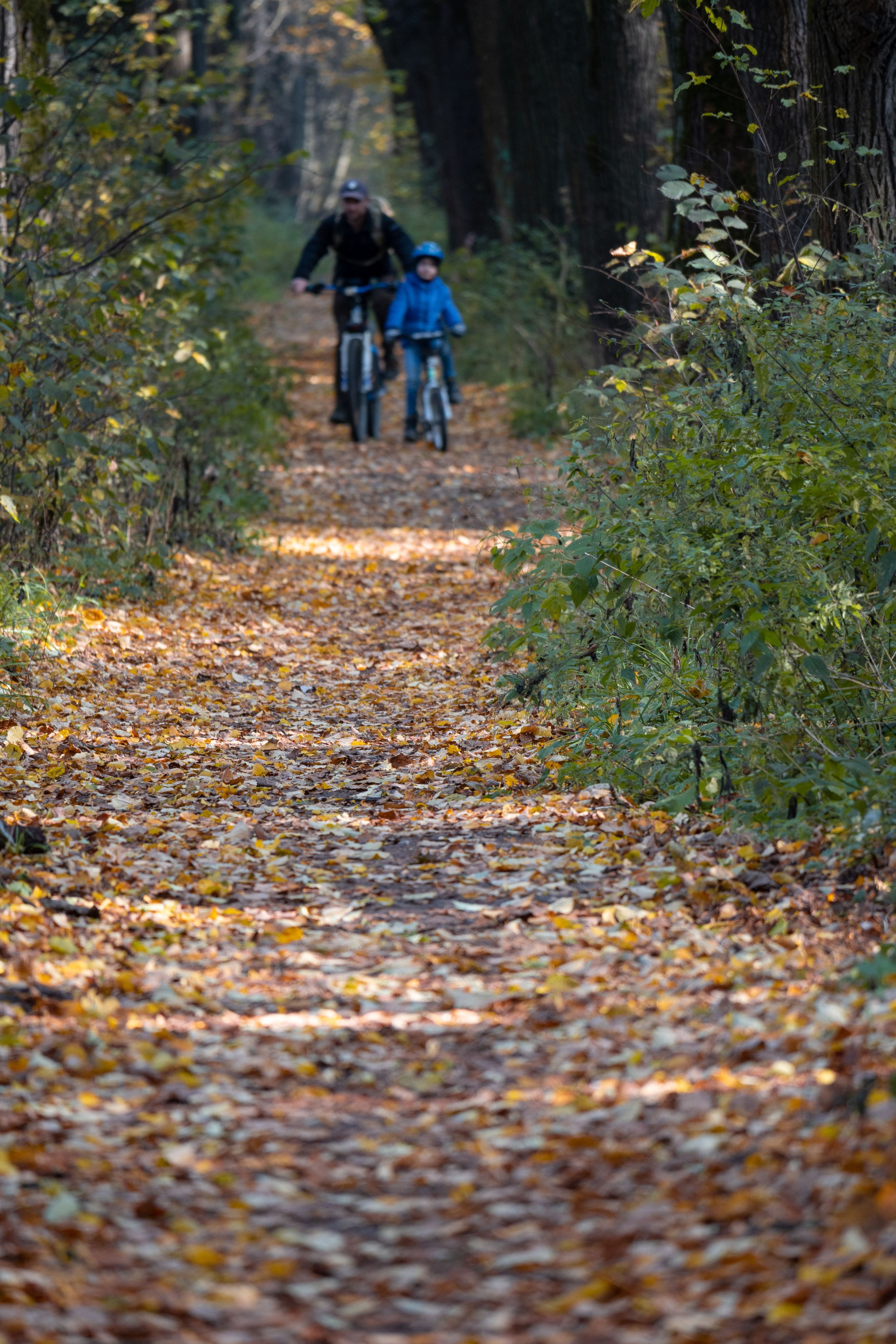 20241012 Измайлово. Дмитрий Ремизов. Фотография, как хобби