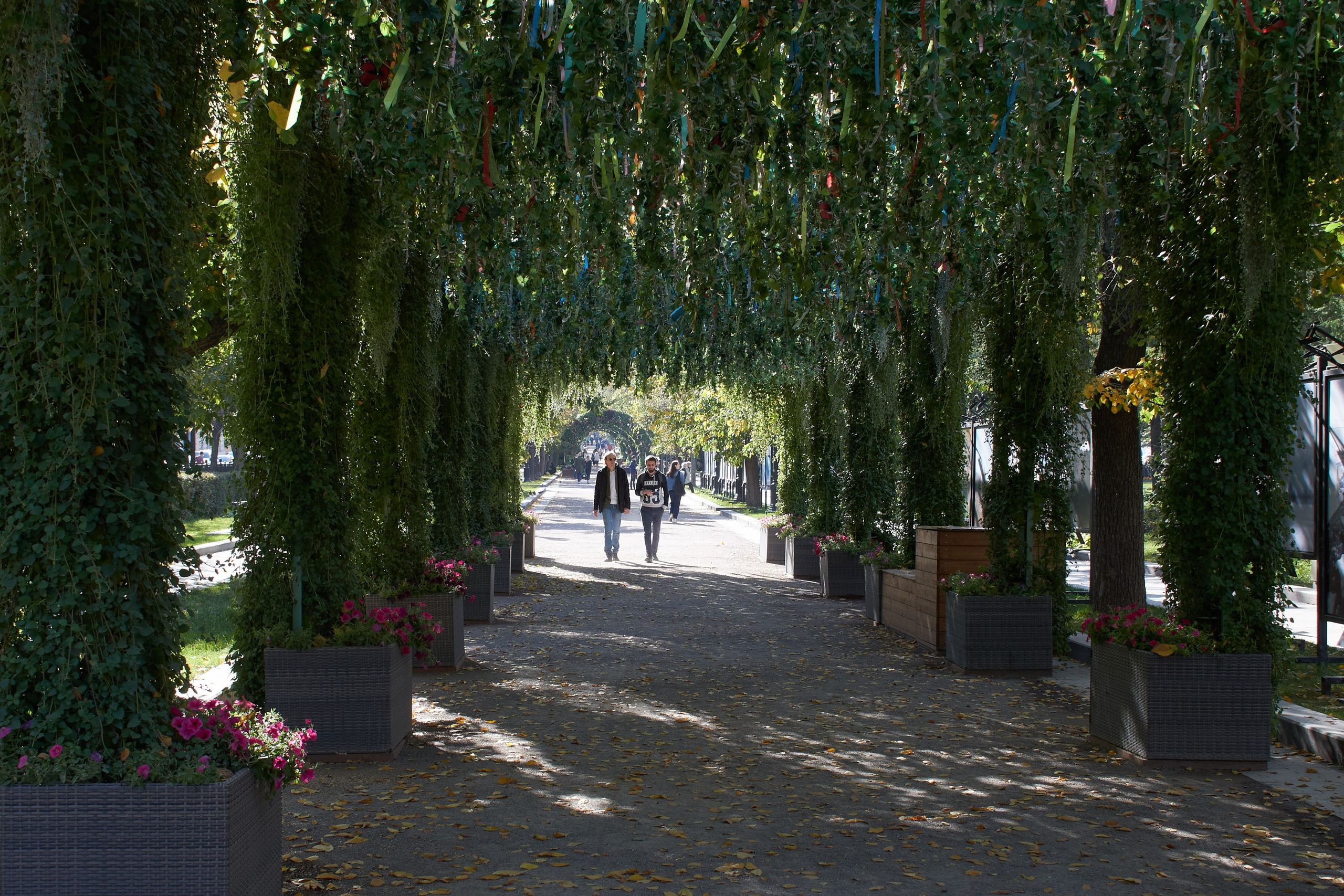 20201004 Бульварное кольцо. Дмитрий Ремизов. Фотография, как хобби