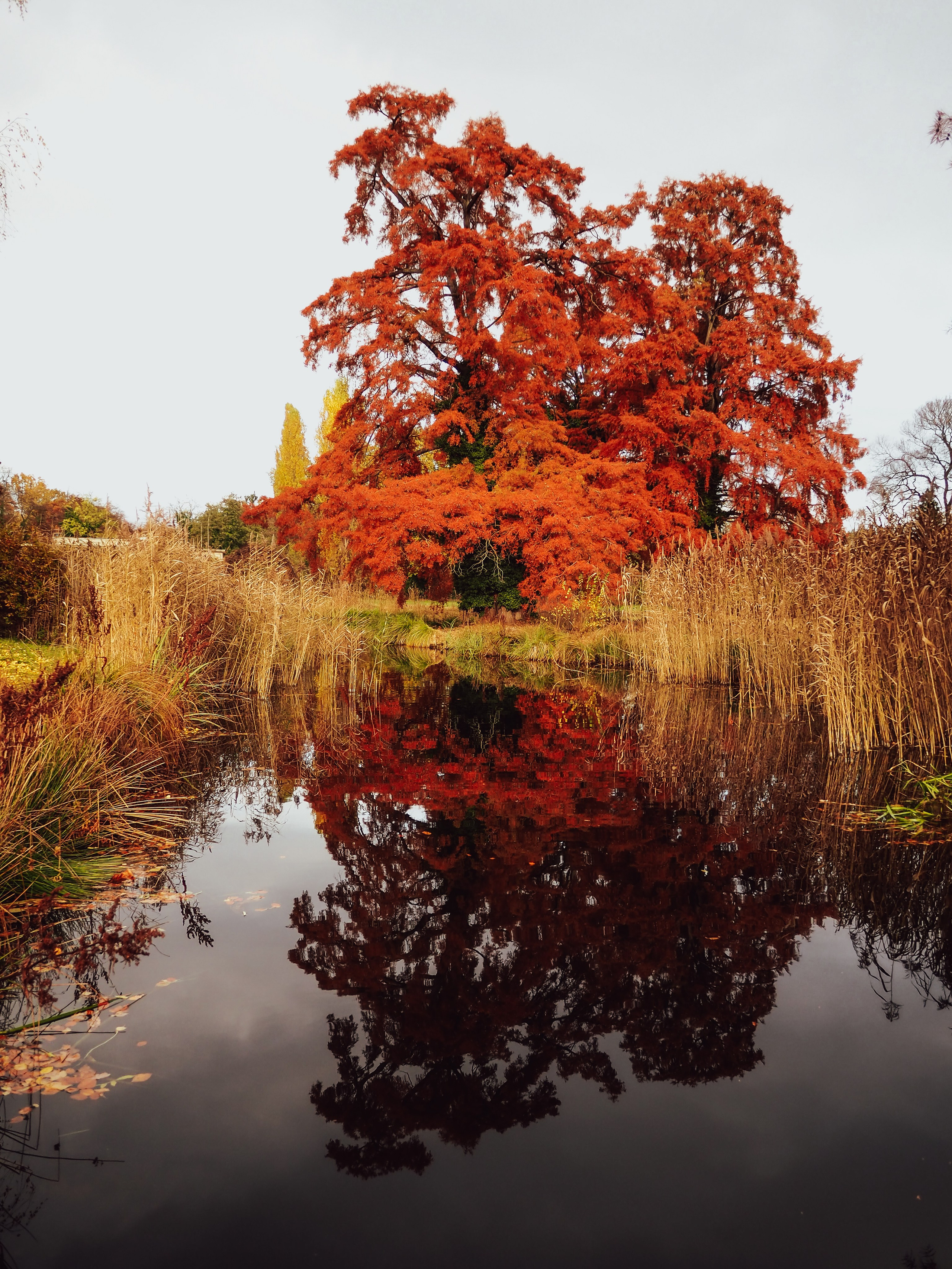 Осень в Потсдаме. Германия. Репортажный фотограф в Берлине Александра Герман
