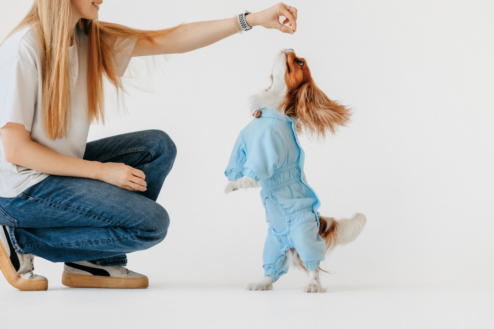 Одежда Lapa`s brand. Фотограф-анималист Елена Радченко, Москва