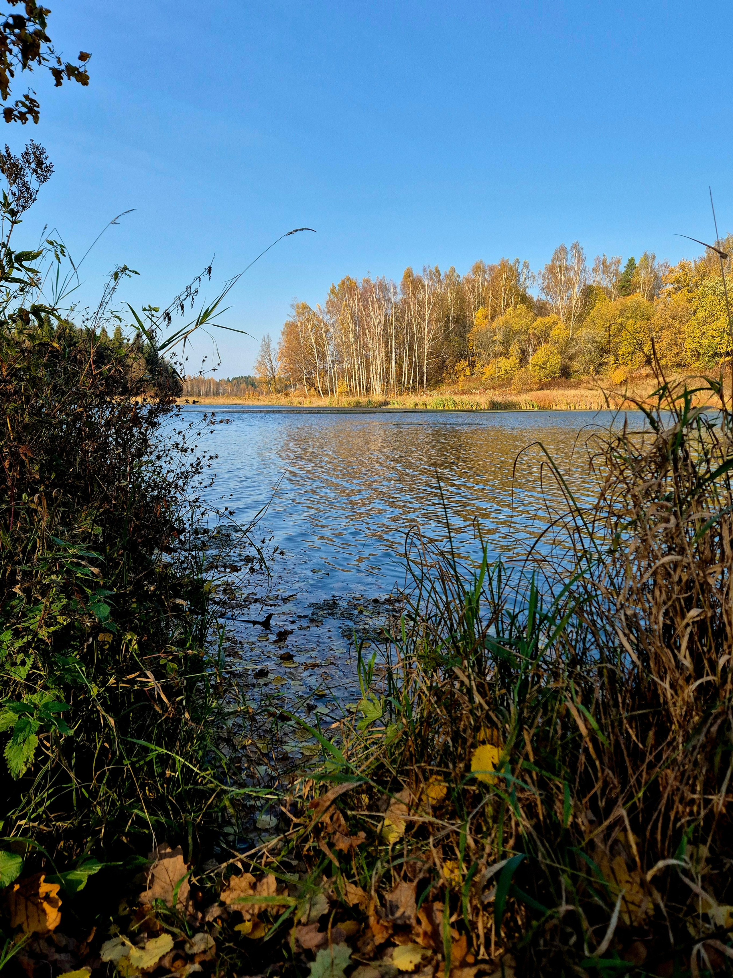 10/24. Абрамцево — Сергиев-Посад. Walk & Fly with Batay