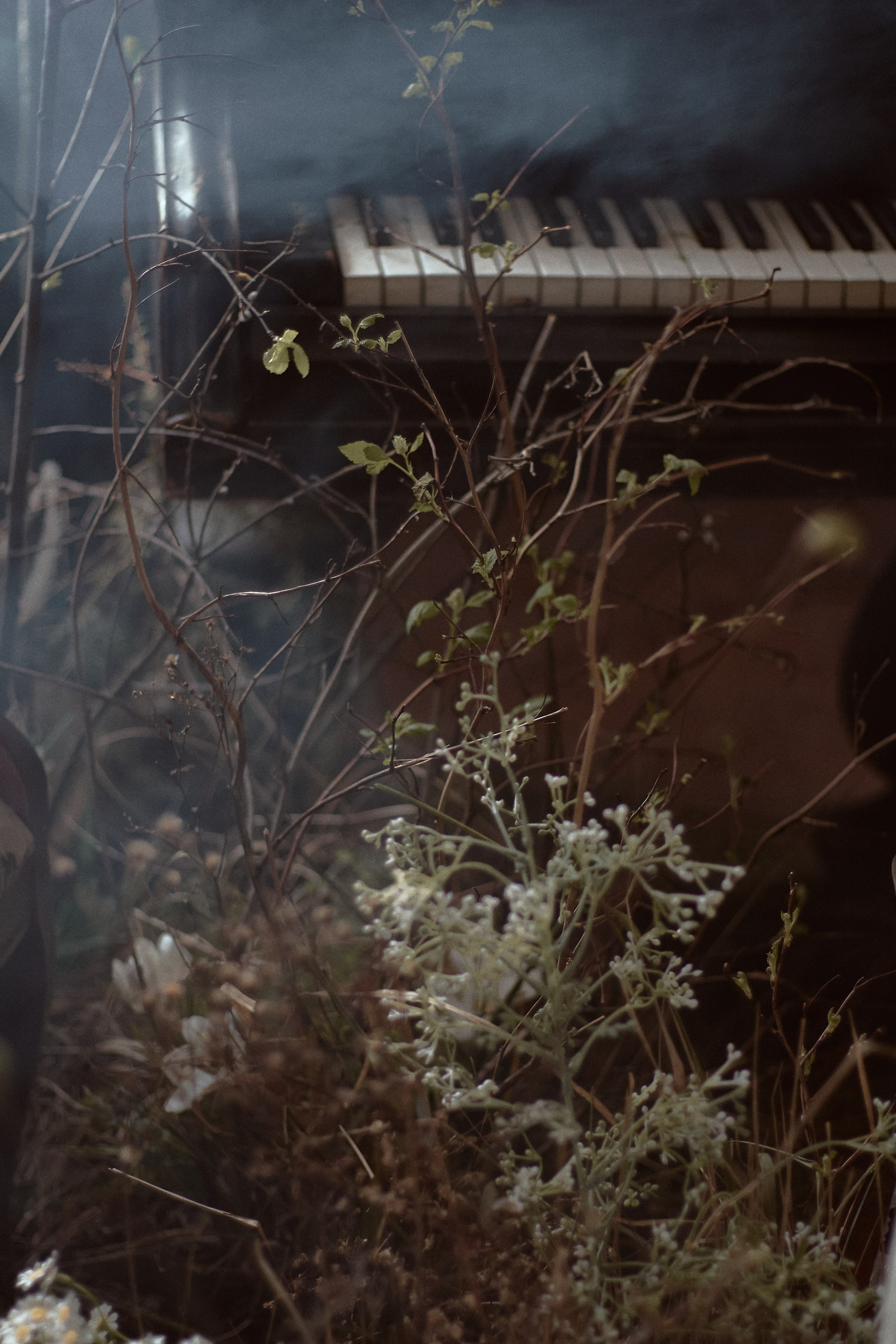 Мать и Дочь. Фотограф лавстори Москва/МО Приятелева Ангелина