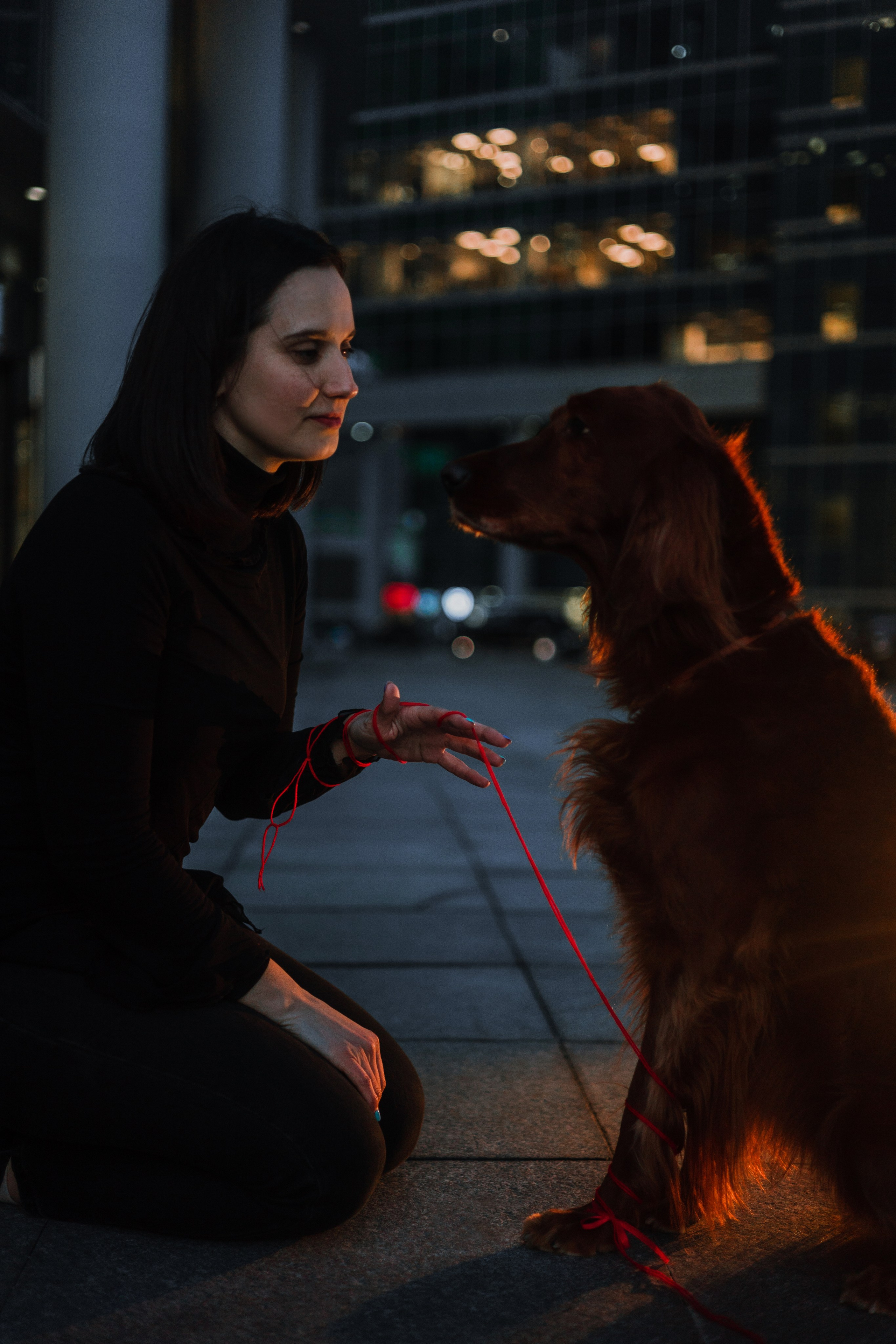 Маша и Лика. Фотограф-анималист Богданова Полина