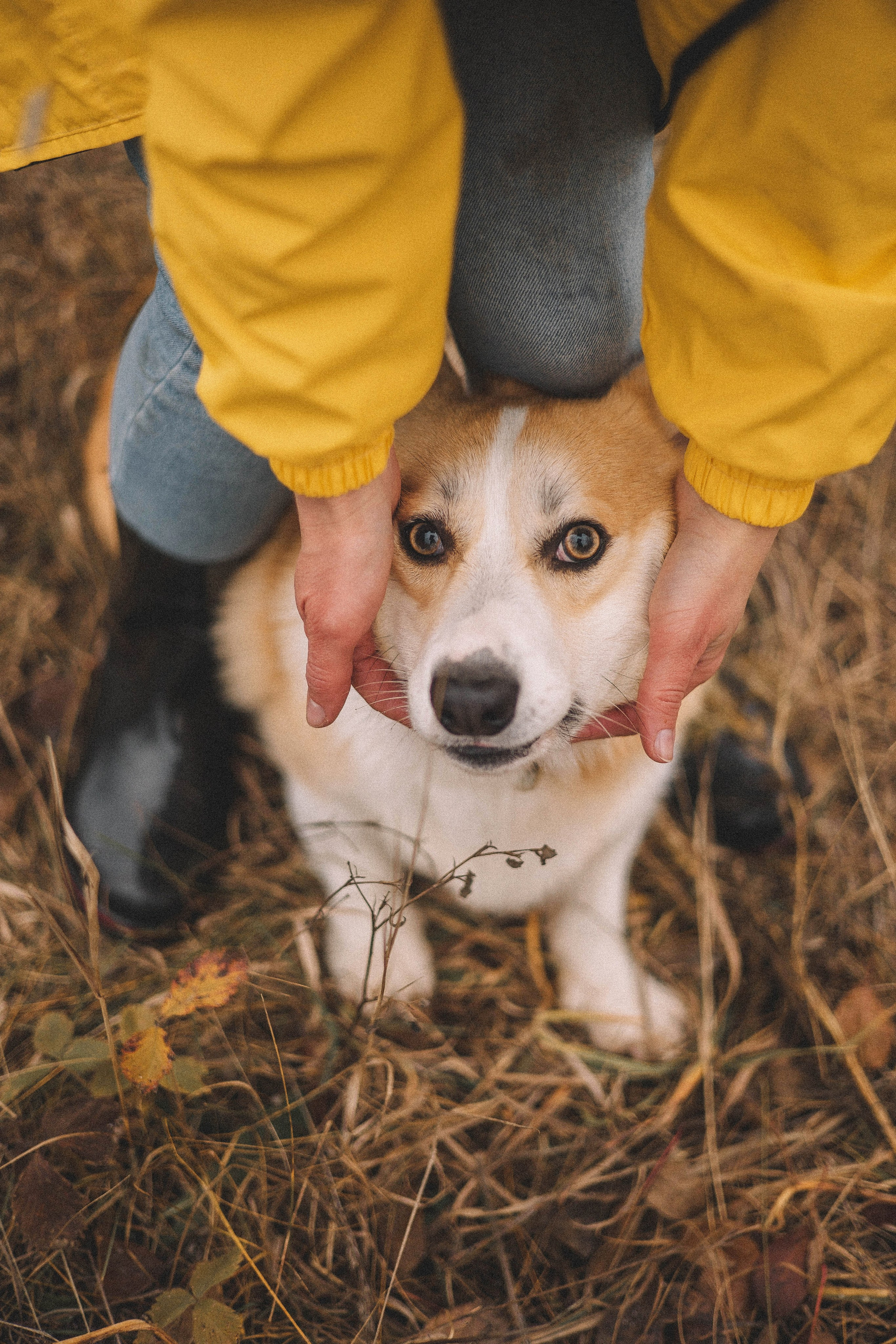 Юля и барри. Фотограф-анималист Богданова Полина