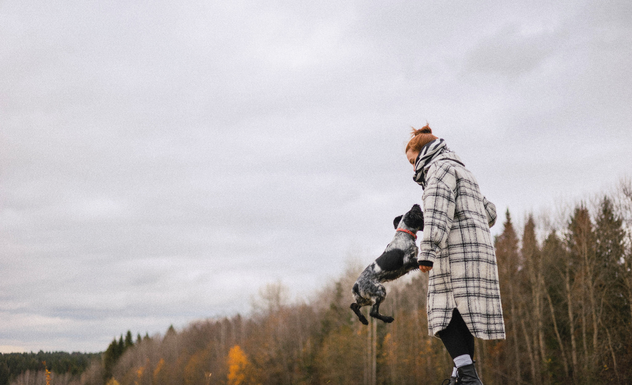 Вика и Ава. Фотограф-анималист Богданова Полина