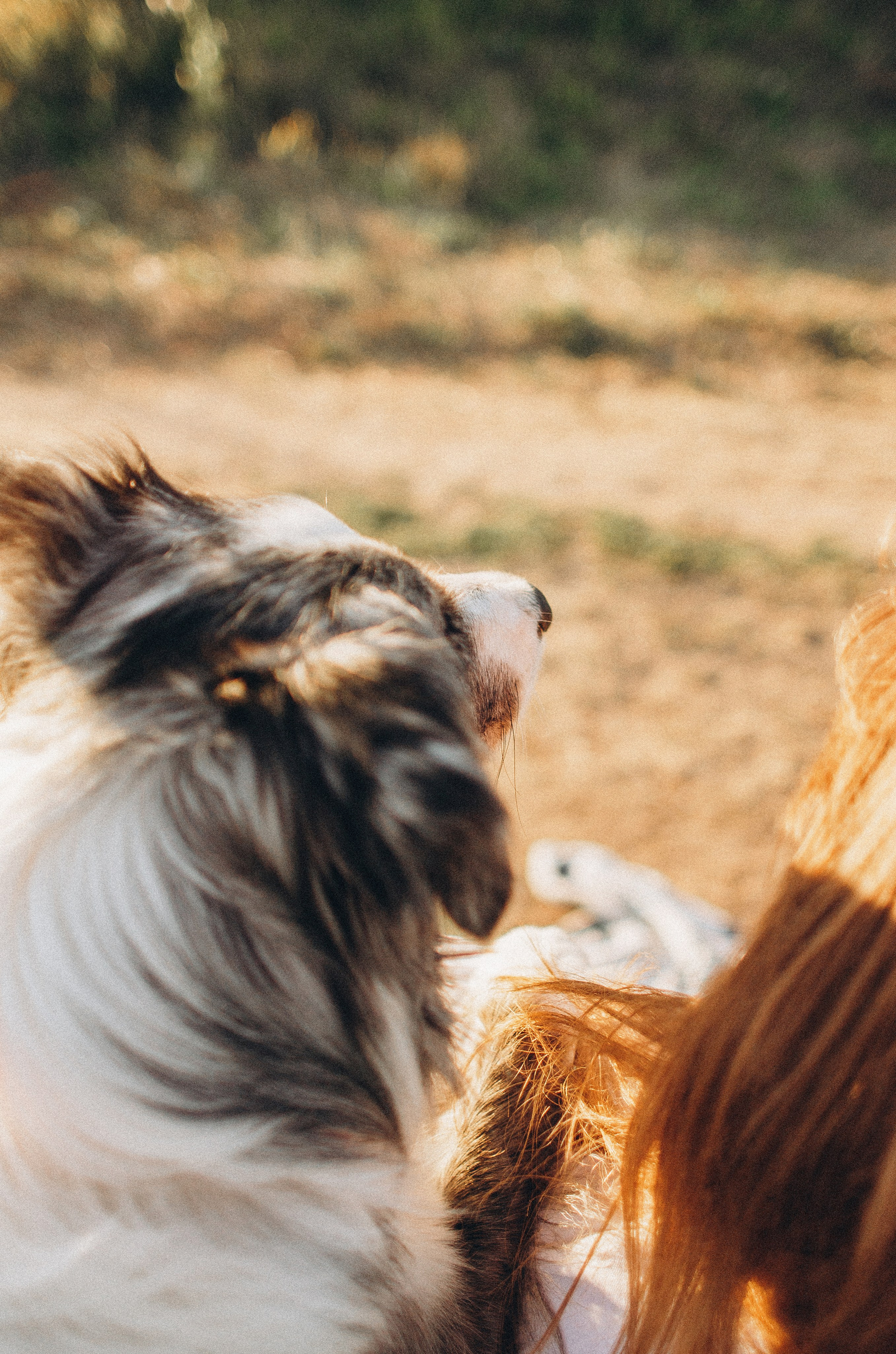 Таня и Бриллиант. Фотограф-анималист Богданова Полина