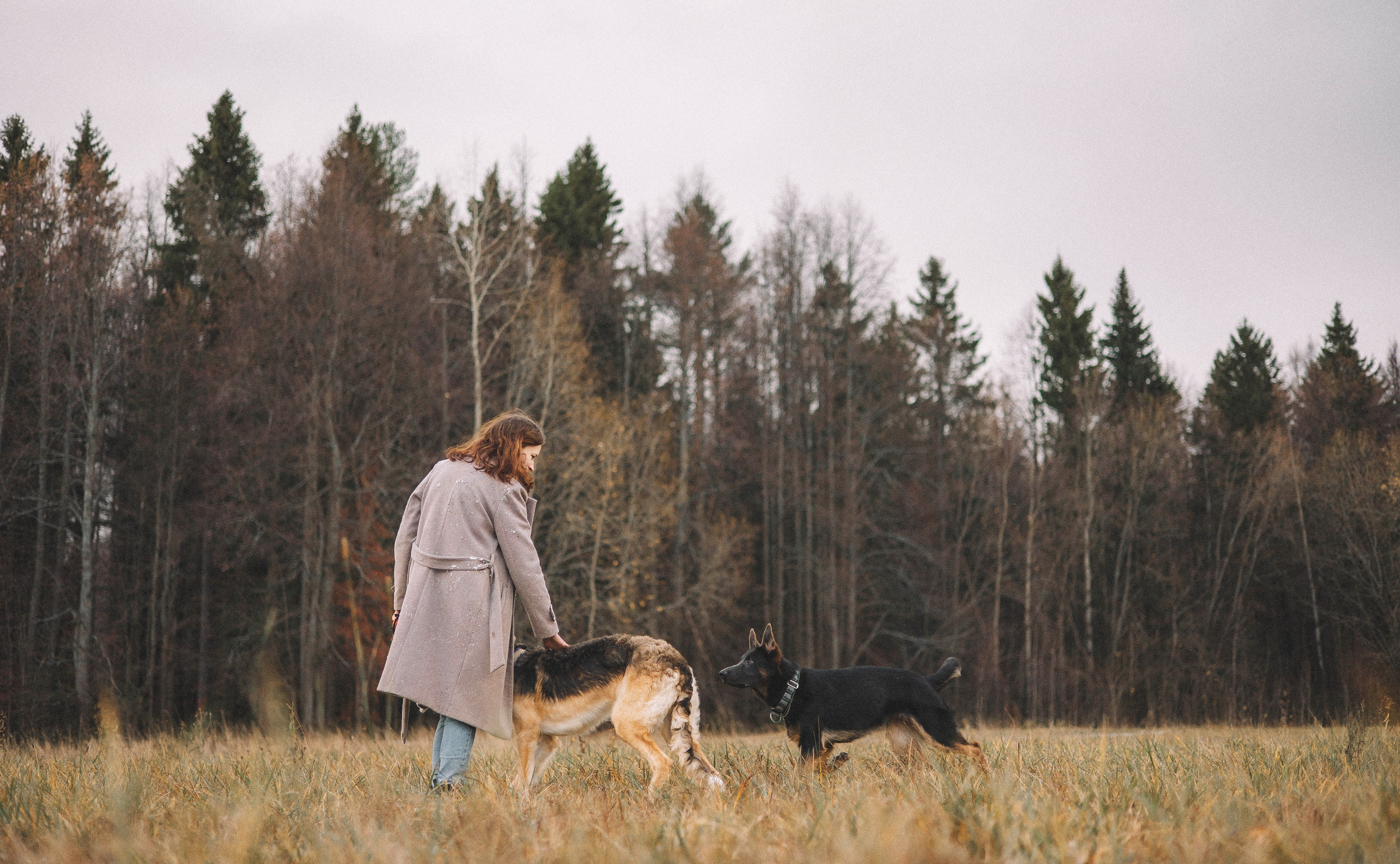 Алена, Леви и Микаса. Фотограф-анималист Богданова Полина