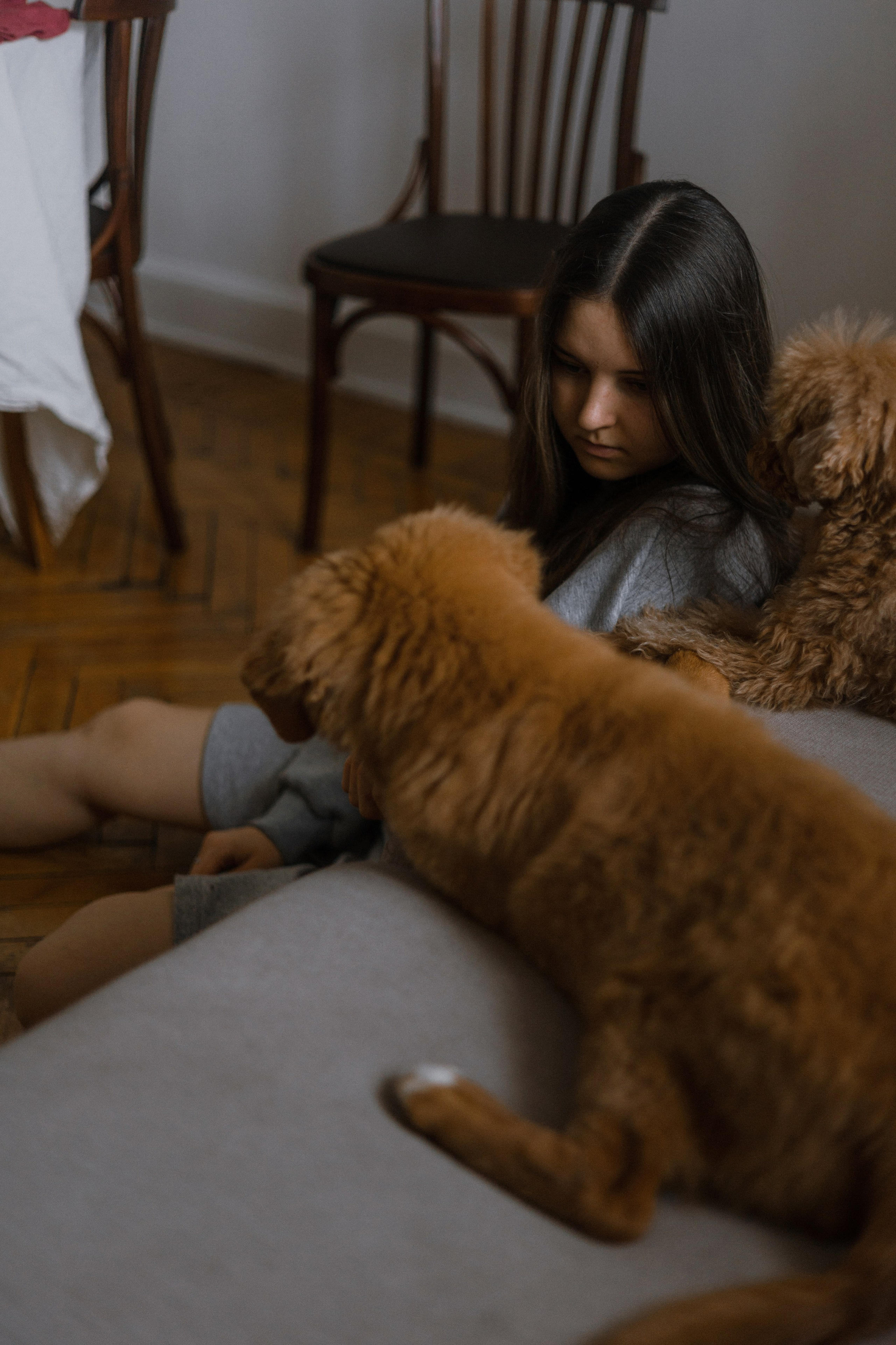 Маша, Одди и Нэвил. Фотограф-анималист Богданова Полина