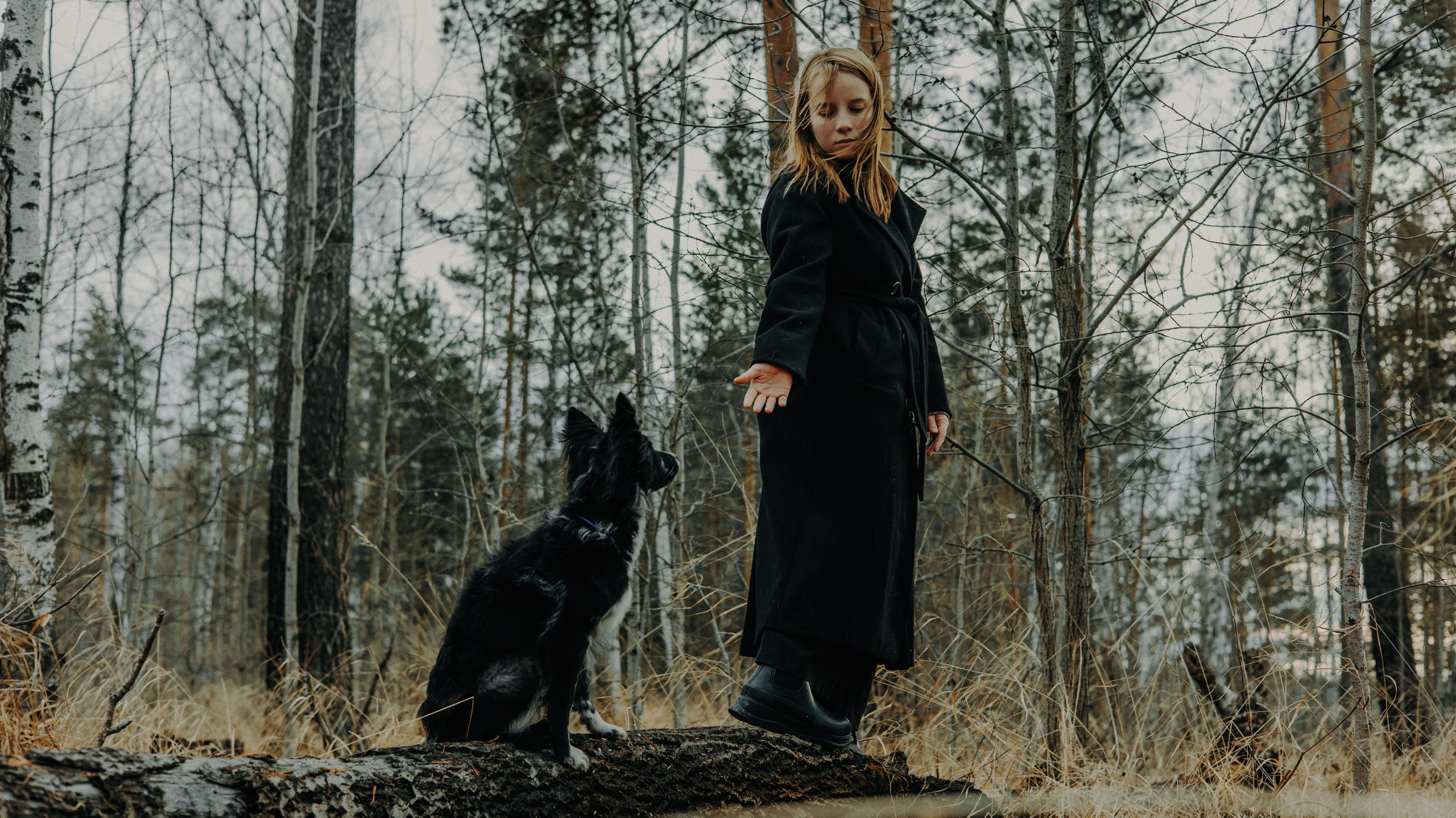 Полина и Сейви. Фотограф-анималист Богданова Полина