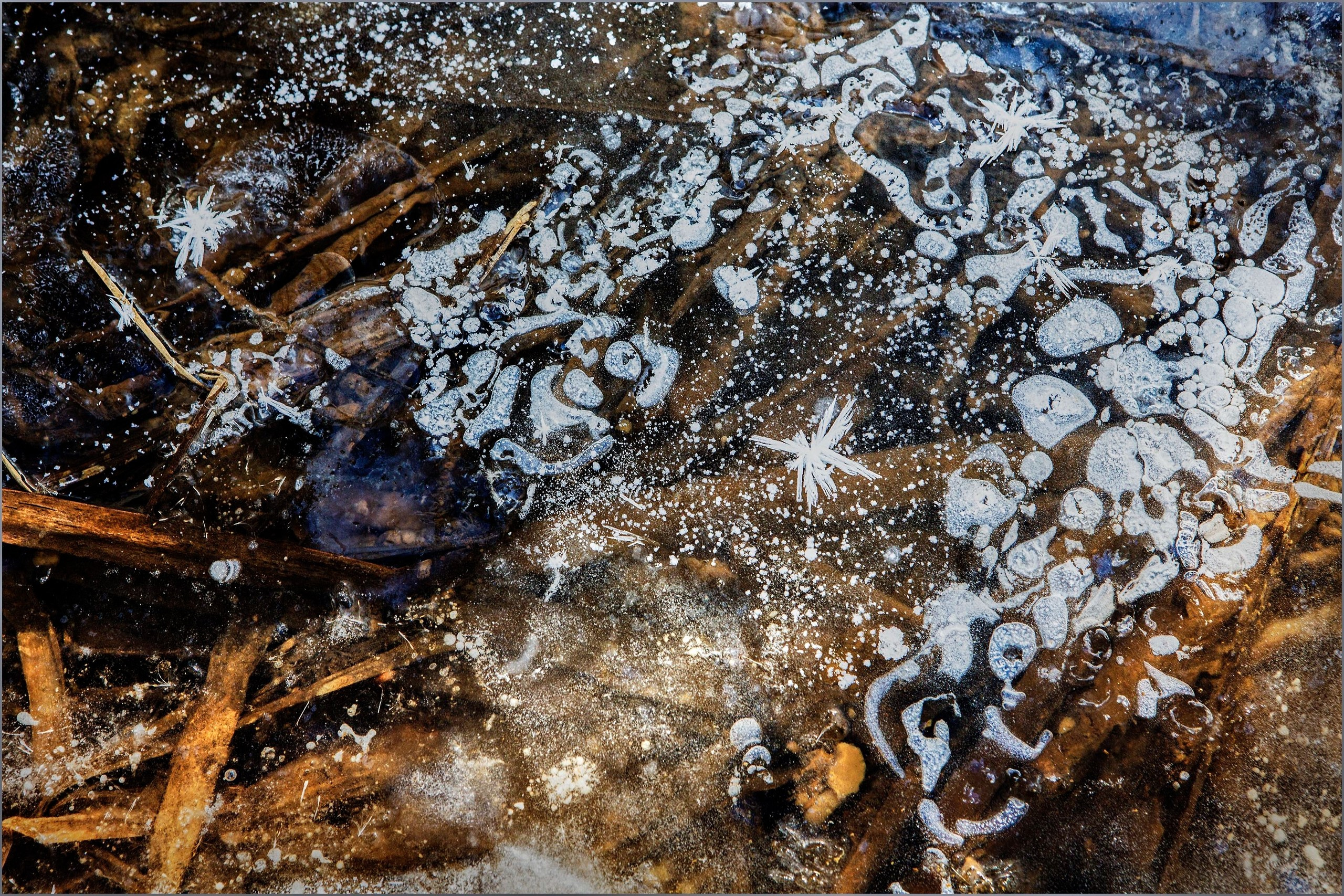 Фрагменты реальности. Природа. Фотообъединение Самарского областного отделения Союза журналистов России