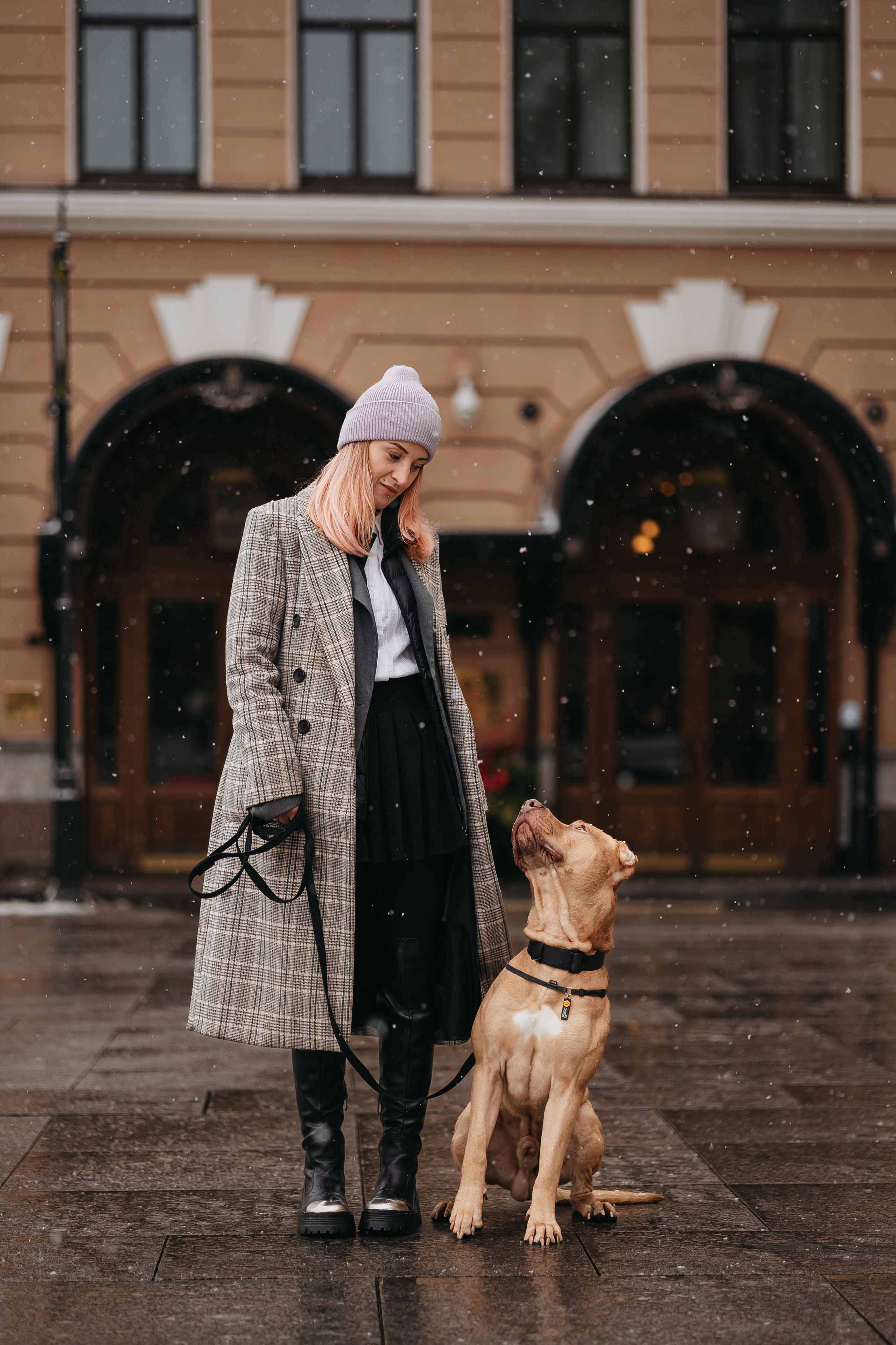 Саша, Света и Ицар. Фотограф-анималист в Санкт-Петербурге Алина Яхонт