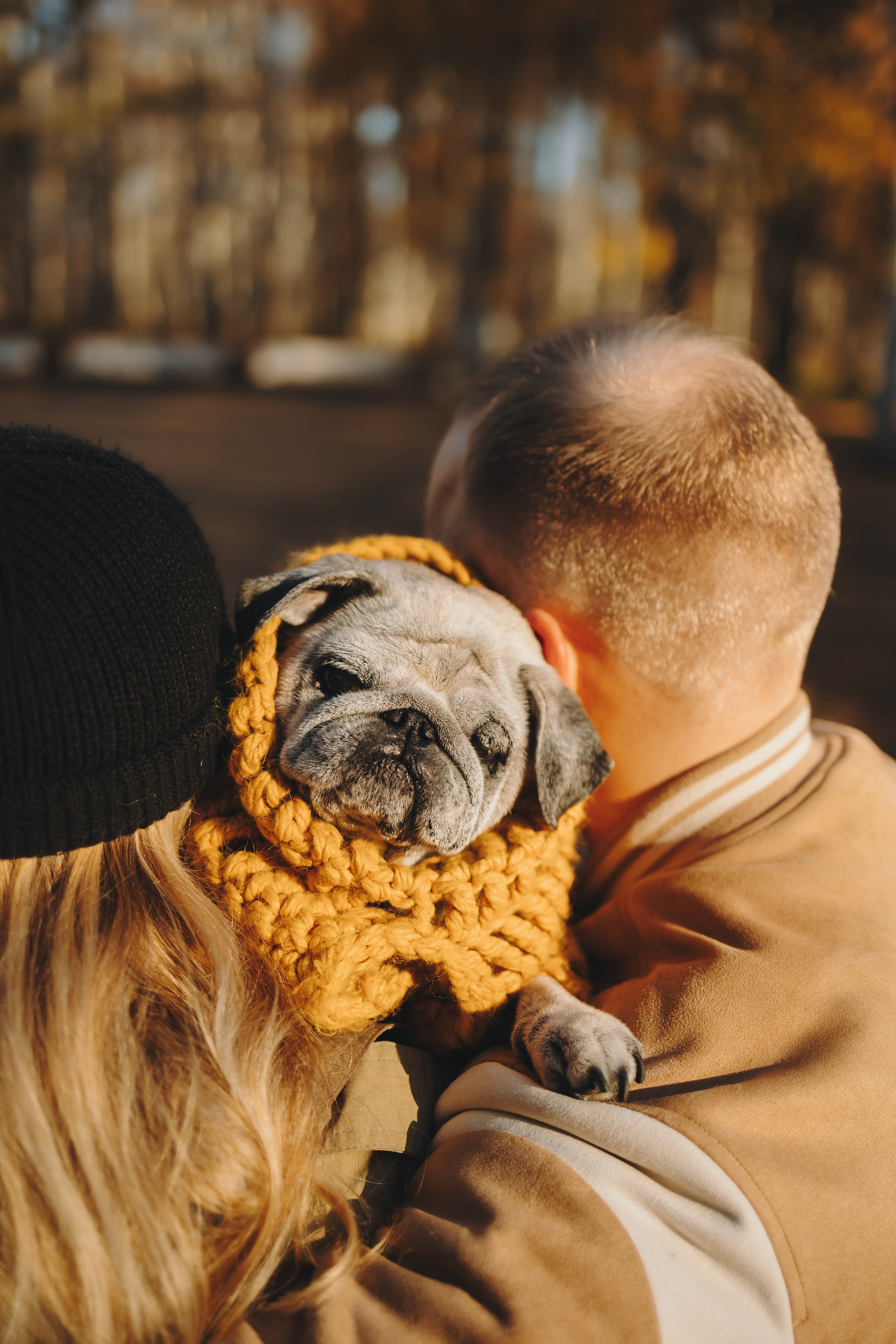 Габи и ребята. Фотограф-анималист в Санкт-Петербурге Алина Яхонт