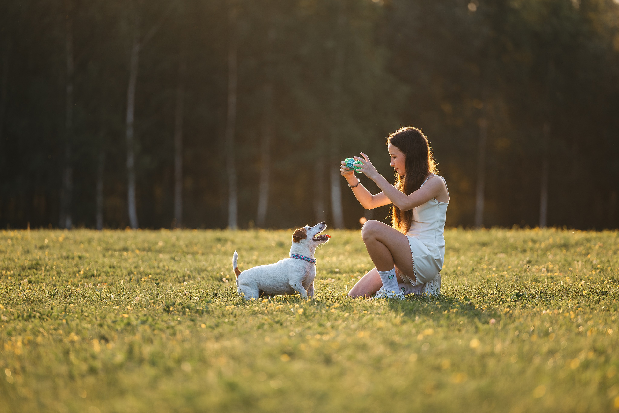 Юлиана и Риф (в обработке). Фотограф Анималист в Москве Анастасия Жучкова