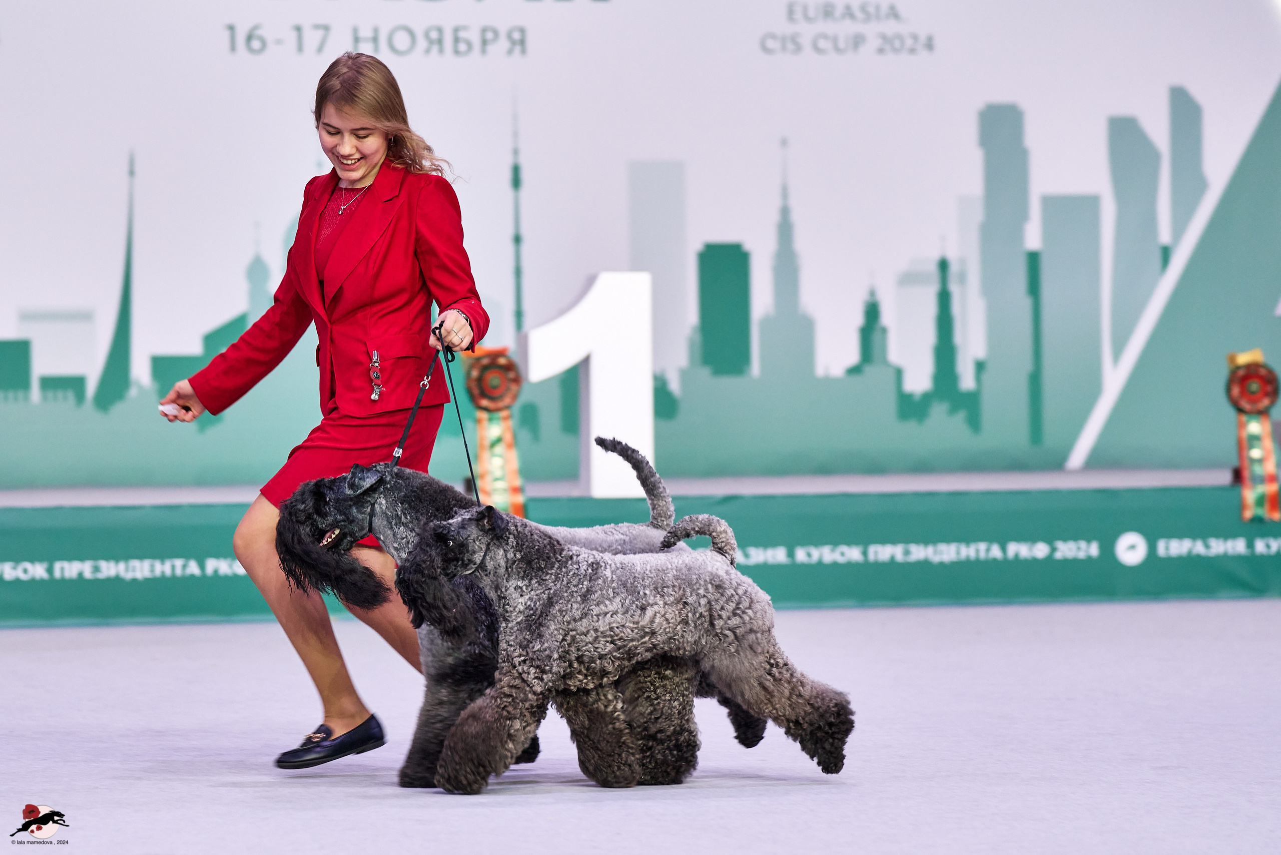 17.11.2024 «ЕВРАЗИЯ. КУБОК СНГ 2024»