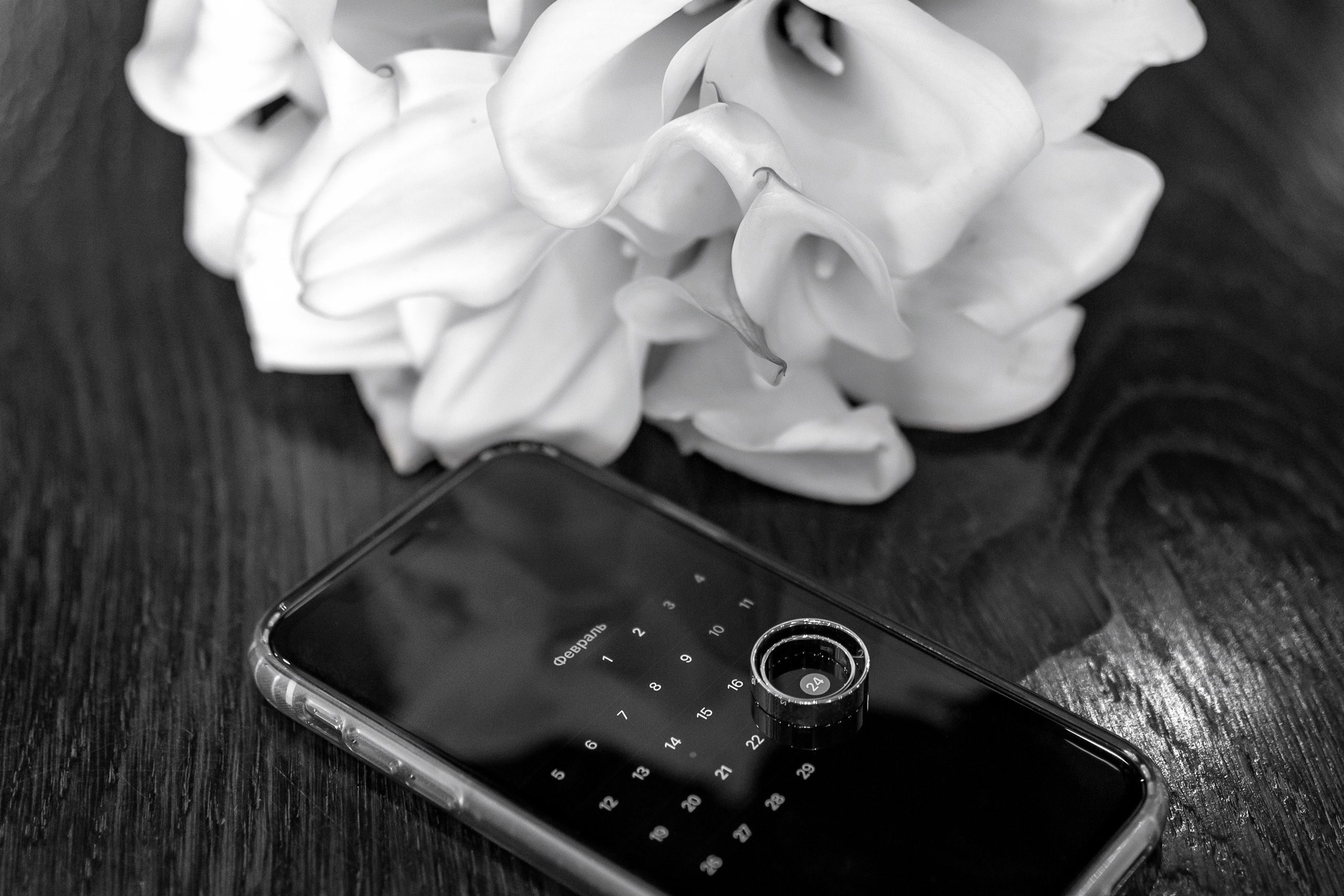 Свадебный и семейный фотограф в Алексеевке Марина Купреева