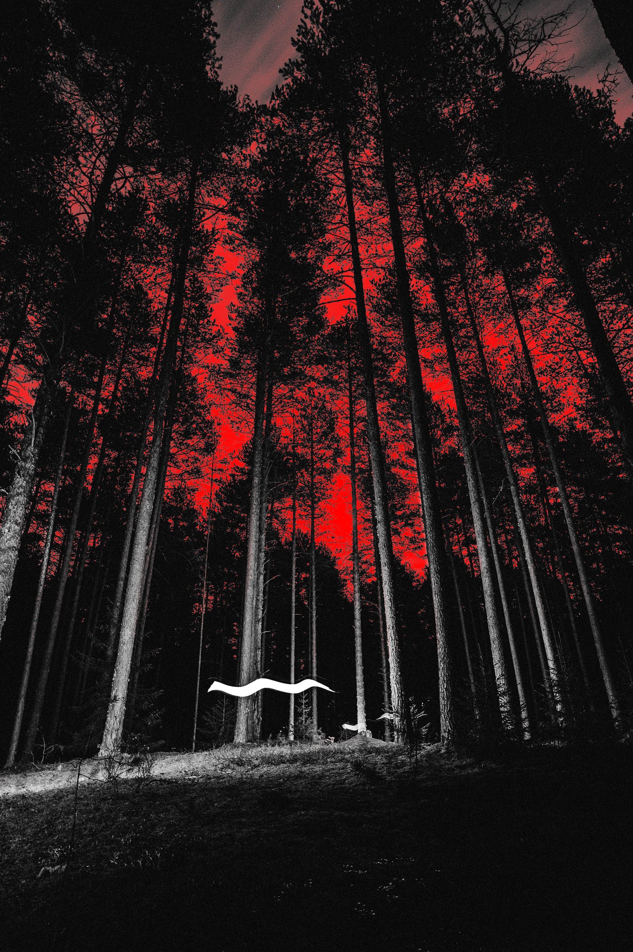 Сказки ночью. Фотограф Александр Смирнов