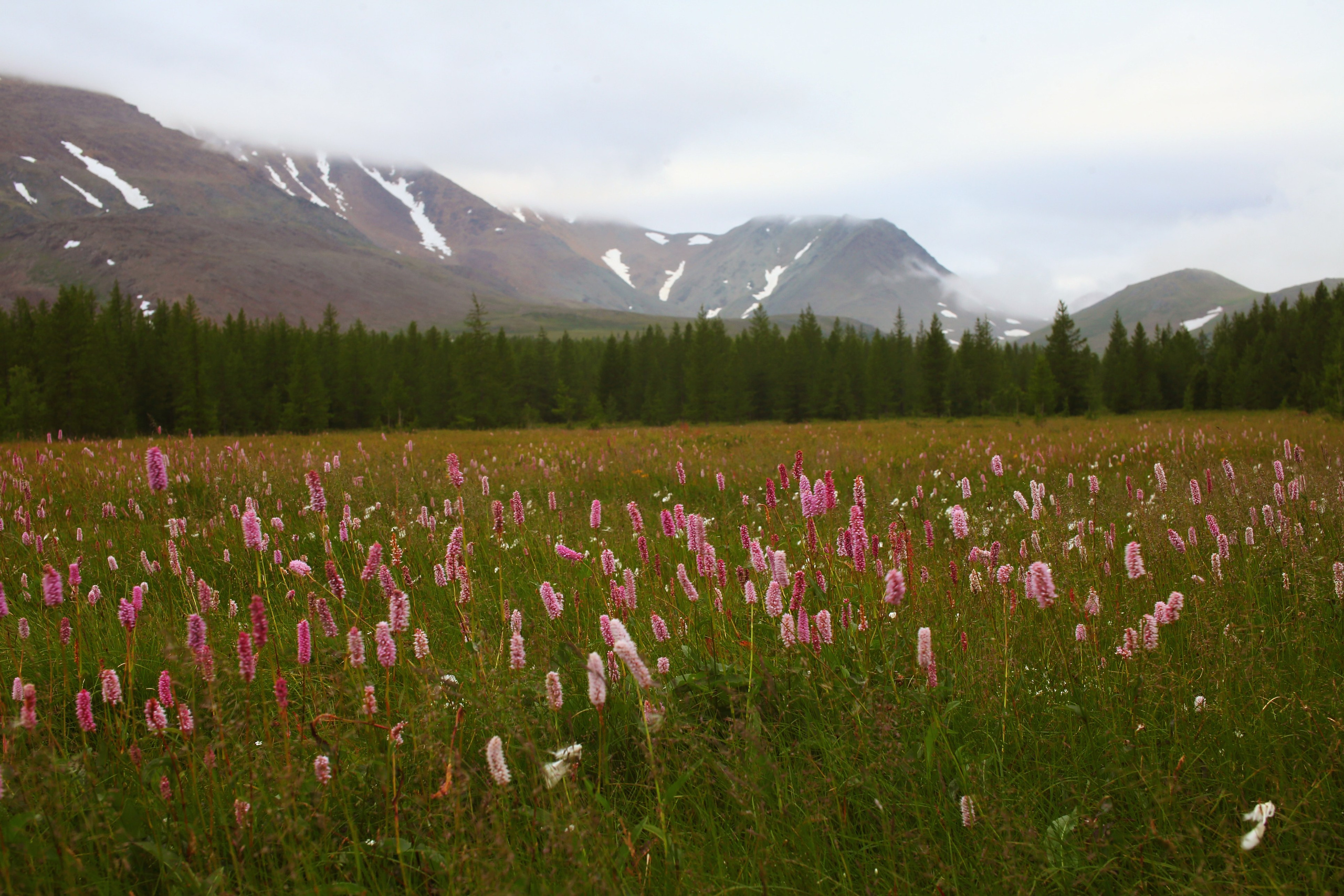 Полярный Урал. Свадебный и репортажный фотограф в Ярославле и Санкт-Петербурге Роман Микрюков