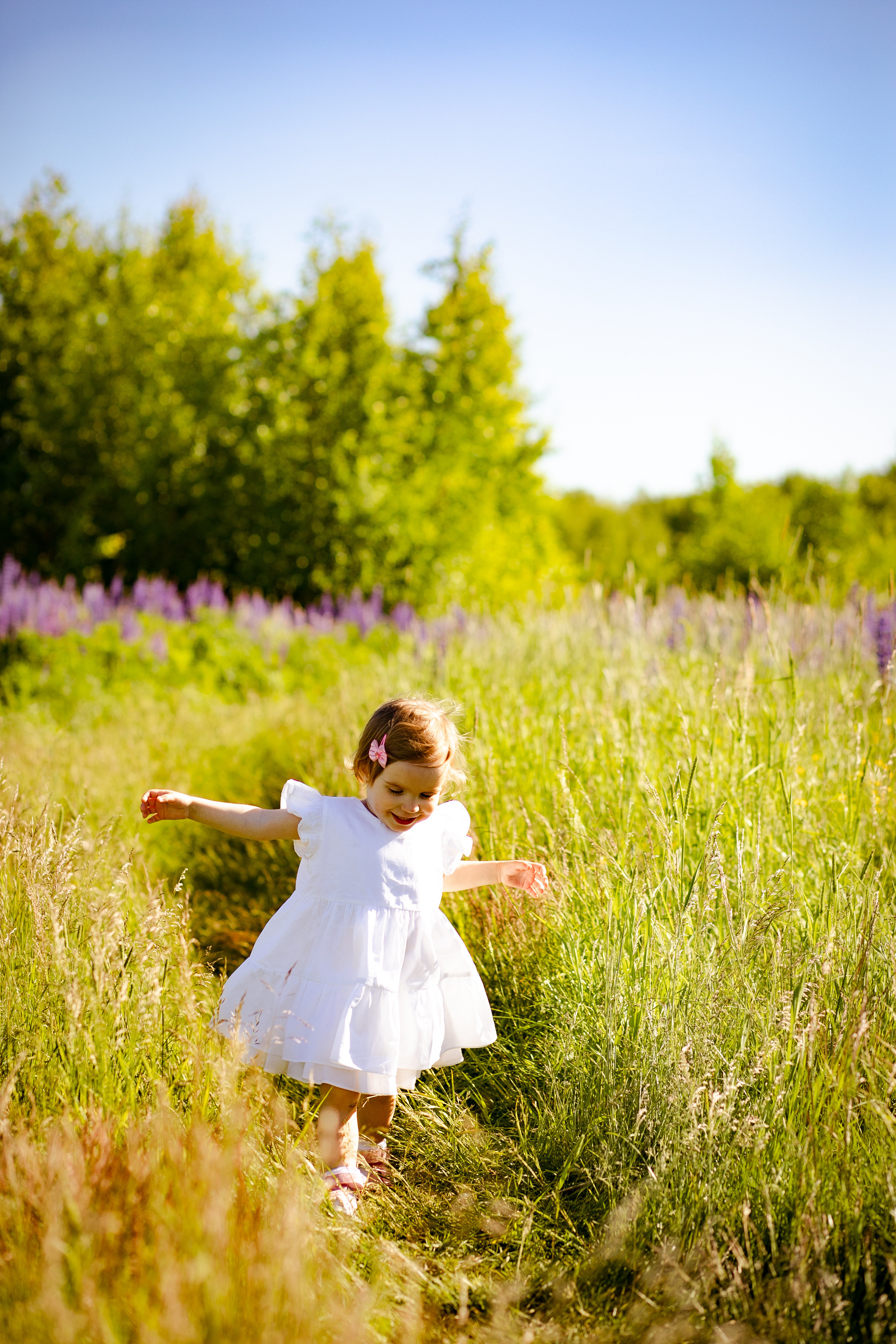 Фотосессия в Люпинах). Фотограф в Санкт-Петербурге Разиля Идиятуллина