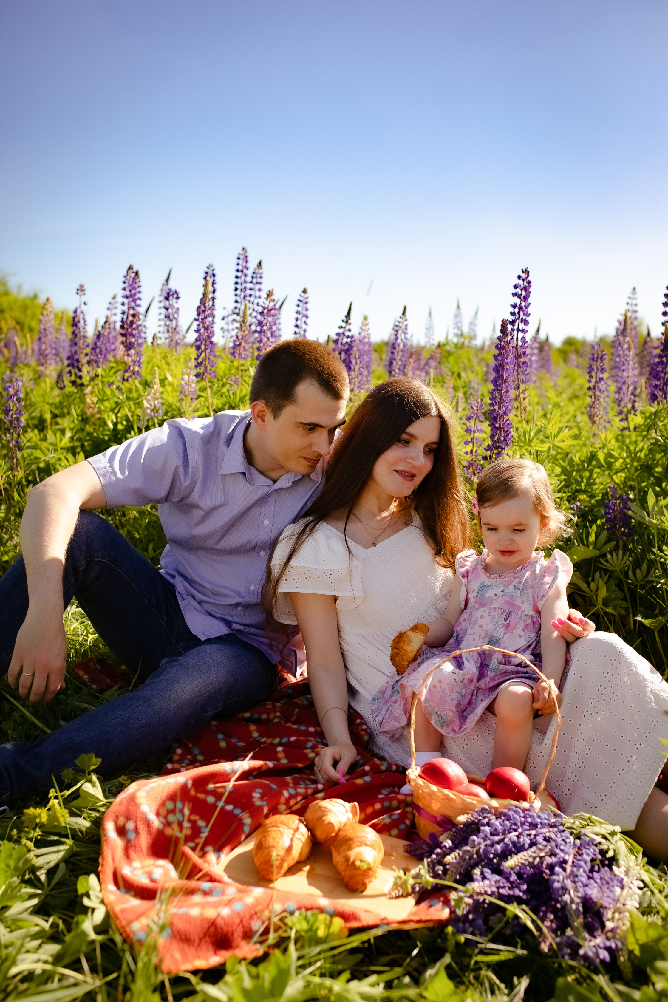 Фотосессия в Люпинах). Фотограф в Санкт-Петербурге Разиля Идиятуллина