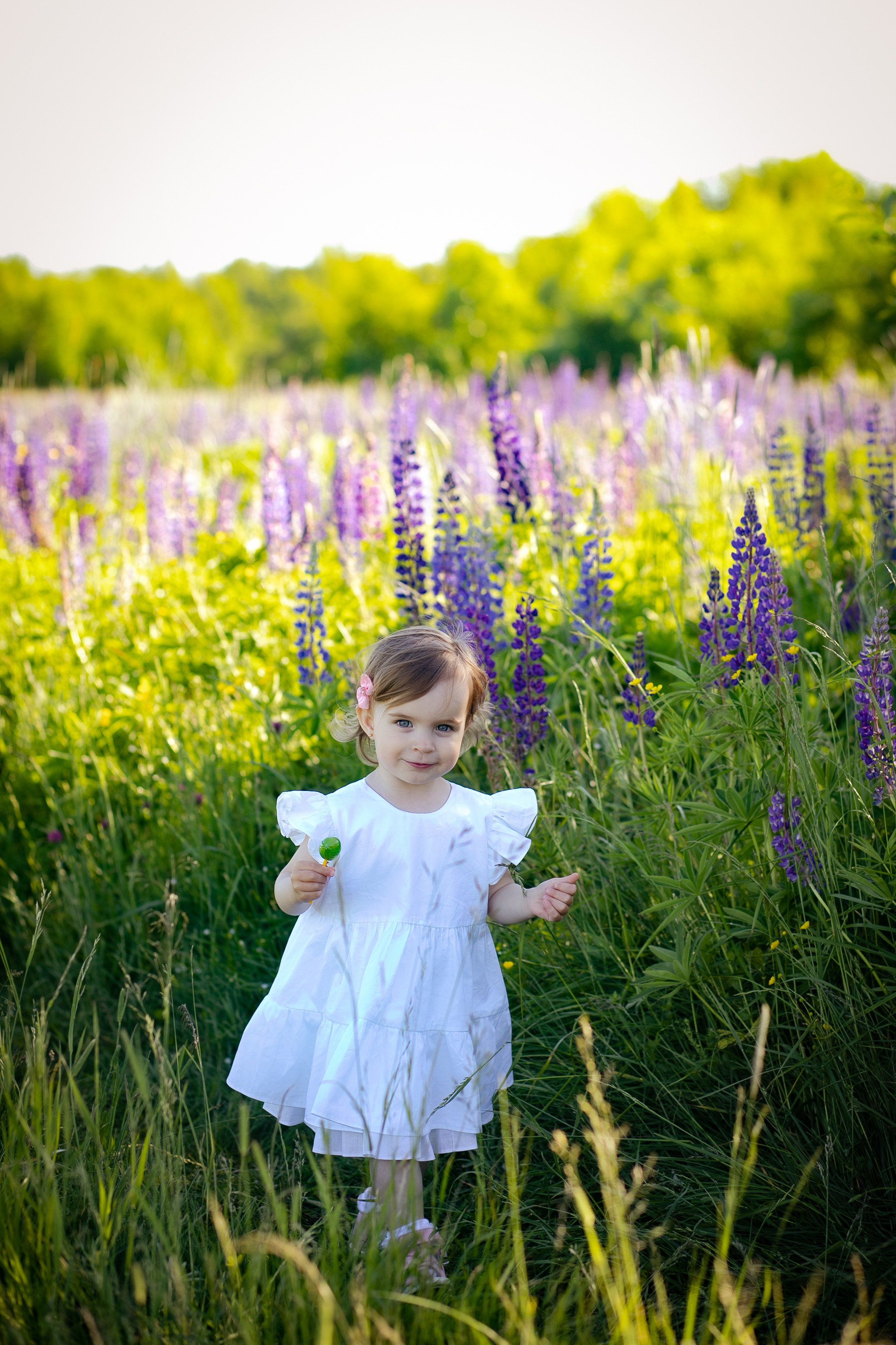 Фотосессия в Люпинах). Фотограф в Санкт-Петербурге Разиля Идиятуллина