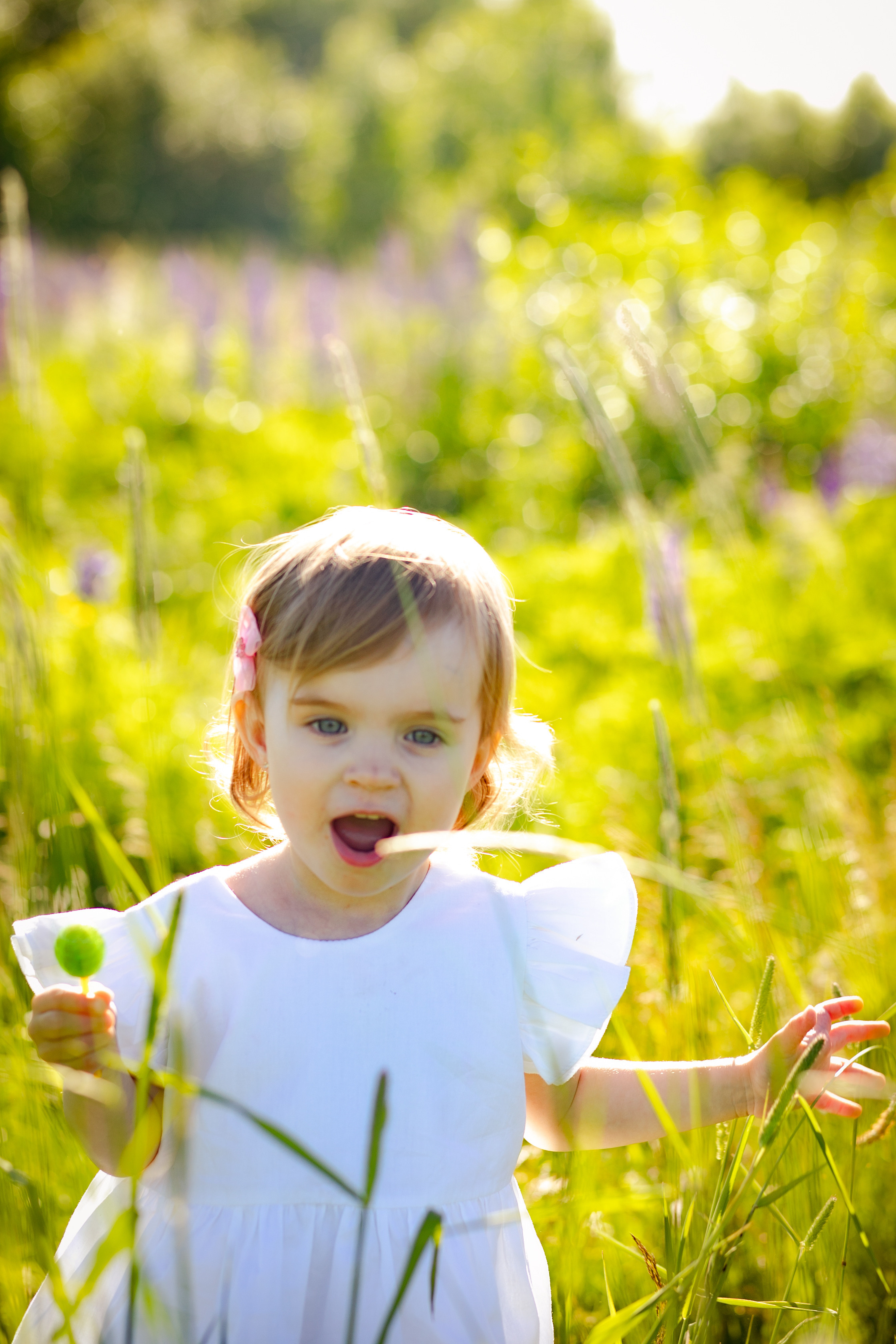 Фотосессия в Люпинах). Фотограф в Санкт-Петербурге Разиля Идиятуллина