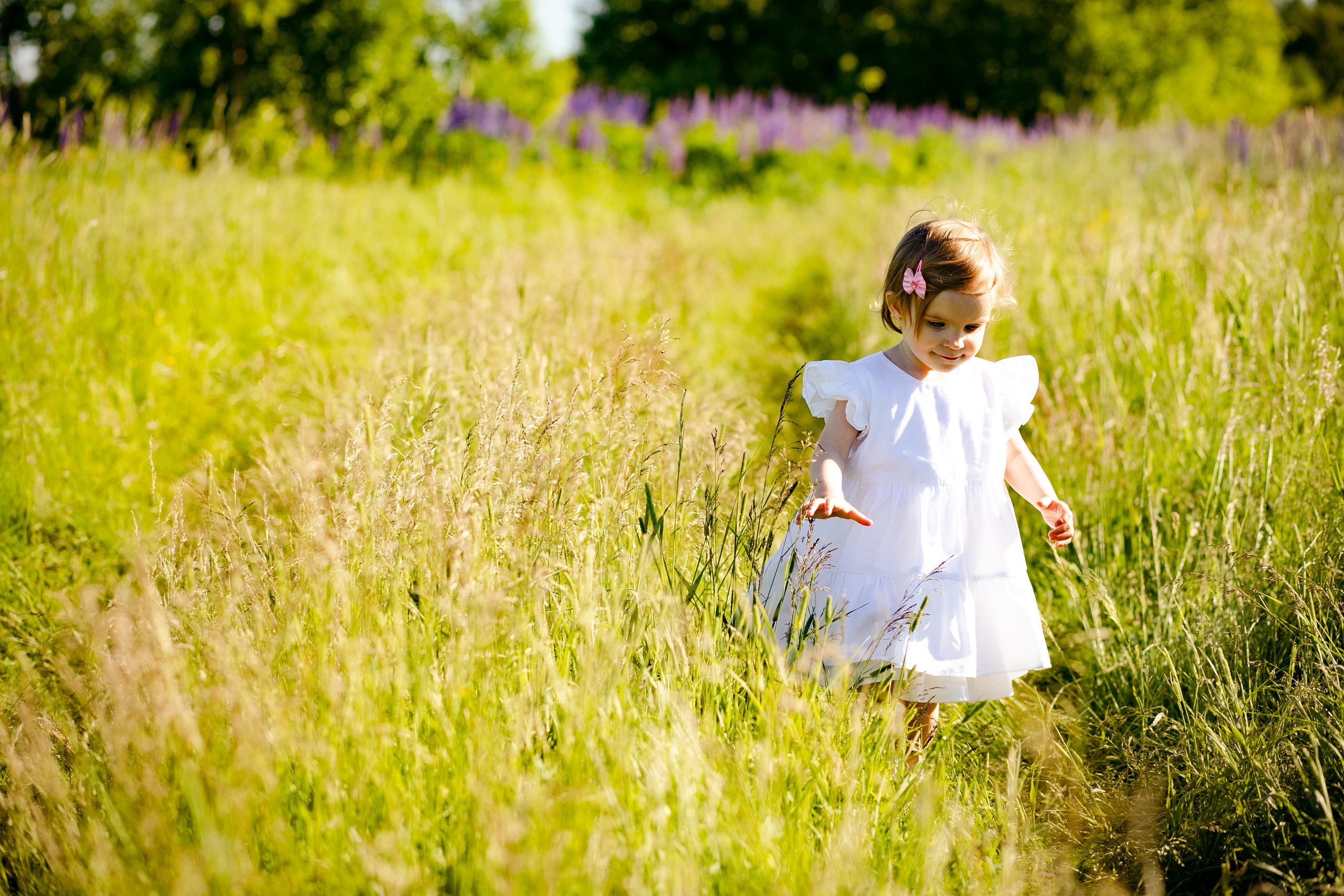 Фотосессия в Люпинах). Фотограф в Санкт-Петербурге Разиля Идиятуллина