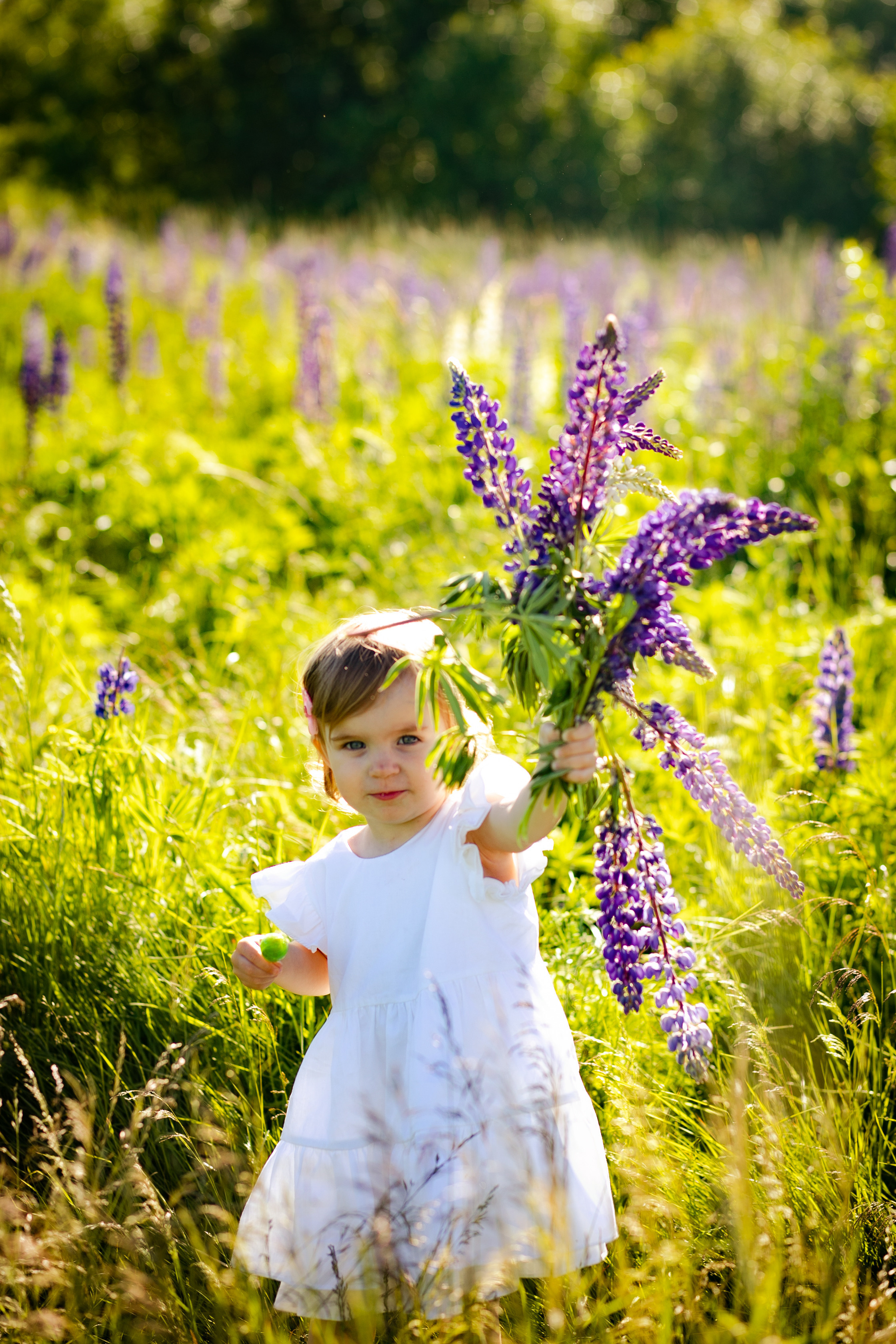 Фотосессия в Люпинах). Фотограф в Санкт-Петербурге Разиля Идиятуллина