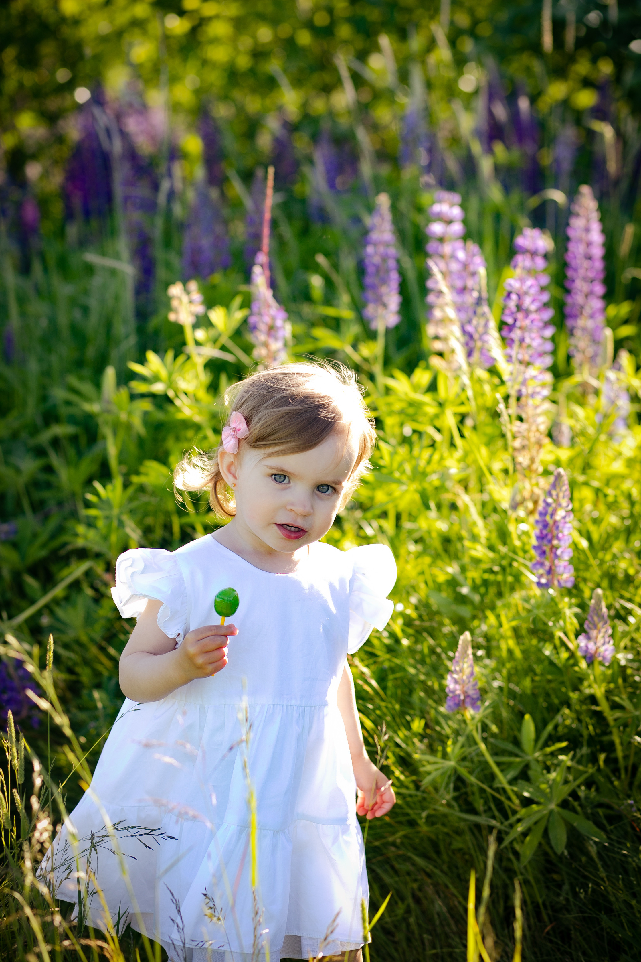 Фотосессия в Люпинах). Фотограф в Санкт-Петербурге Разиля Идиятуллина