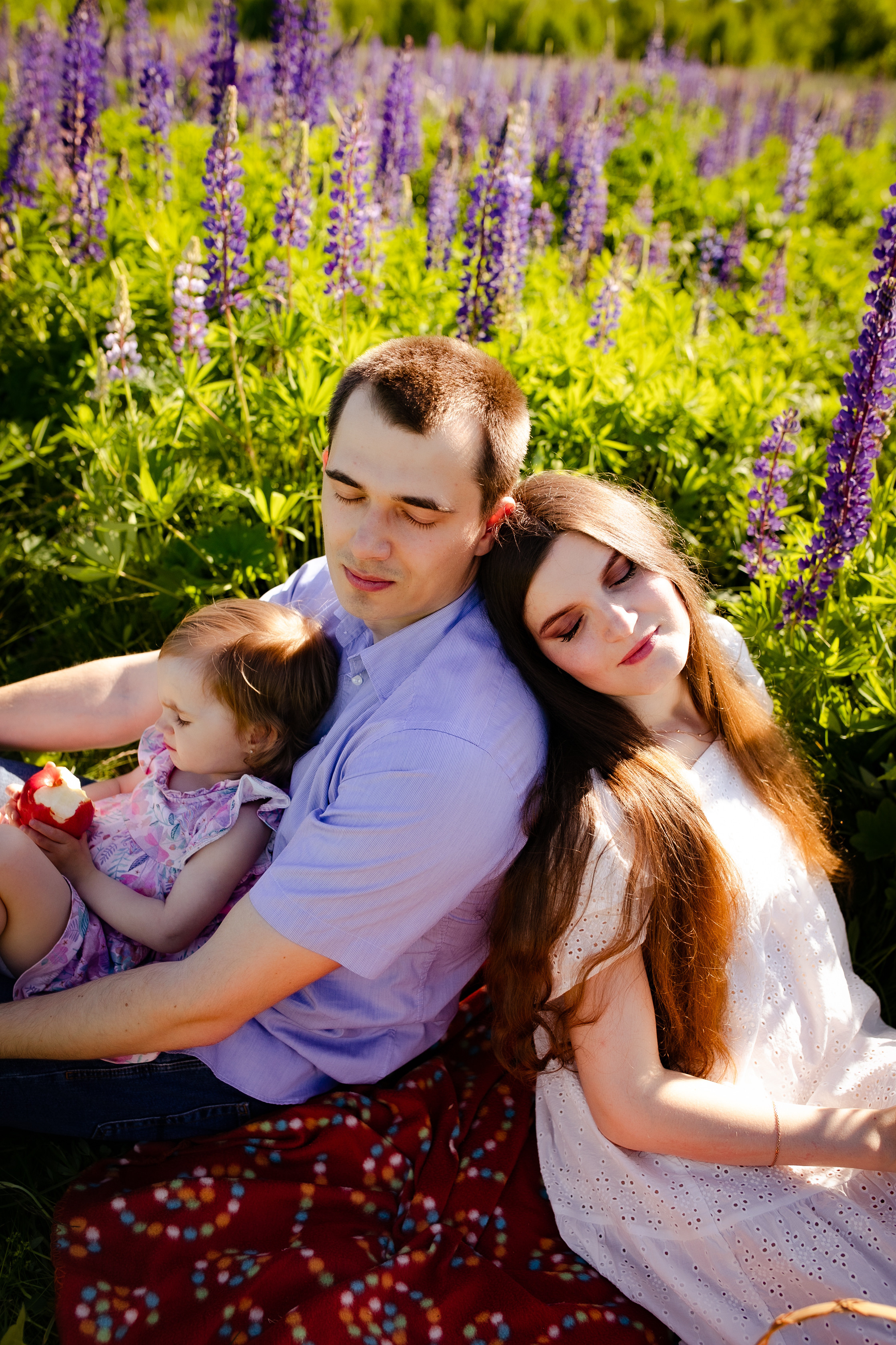 Фотосессия в Люпинах). Фотограф в Санкт-Петербурге Разиля Идиятуллина