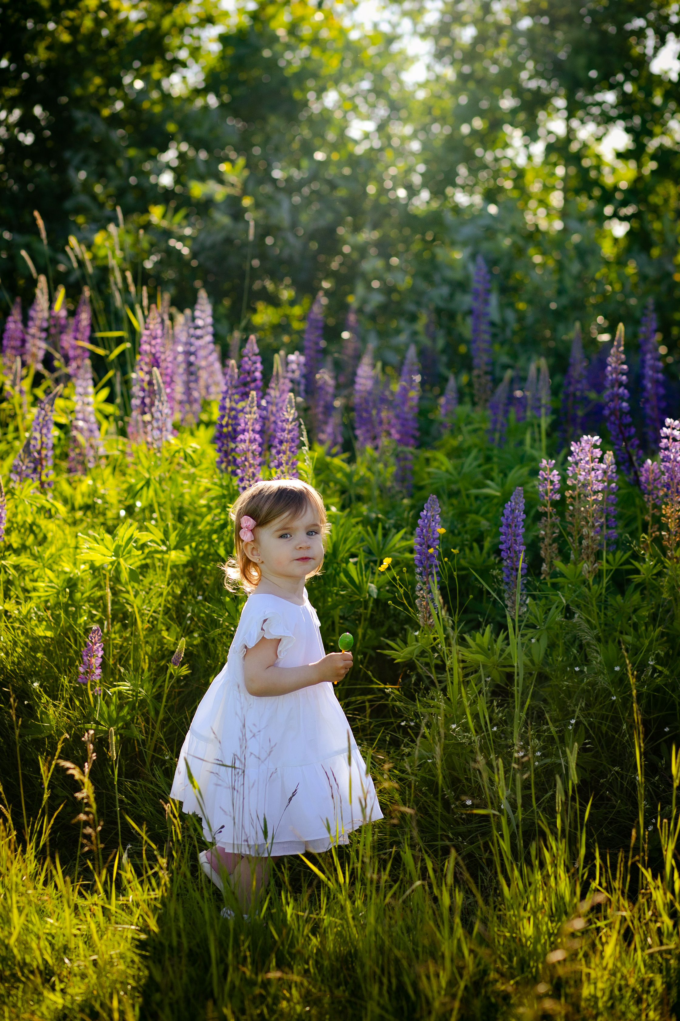 Фотосессия в Люпинах). Фотограф в Санкт-Петербурге Разиля Идиятуллина
