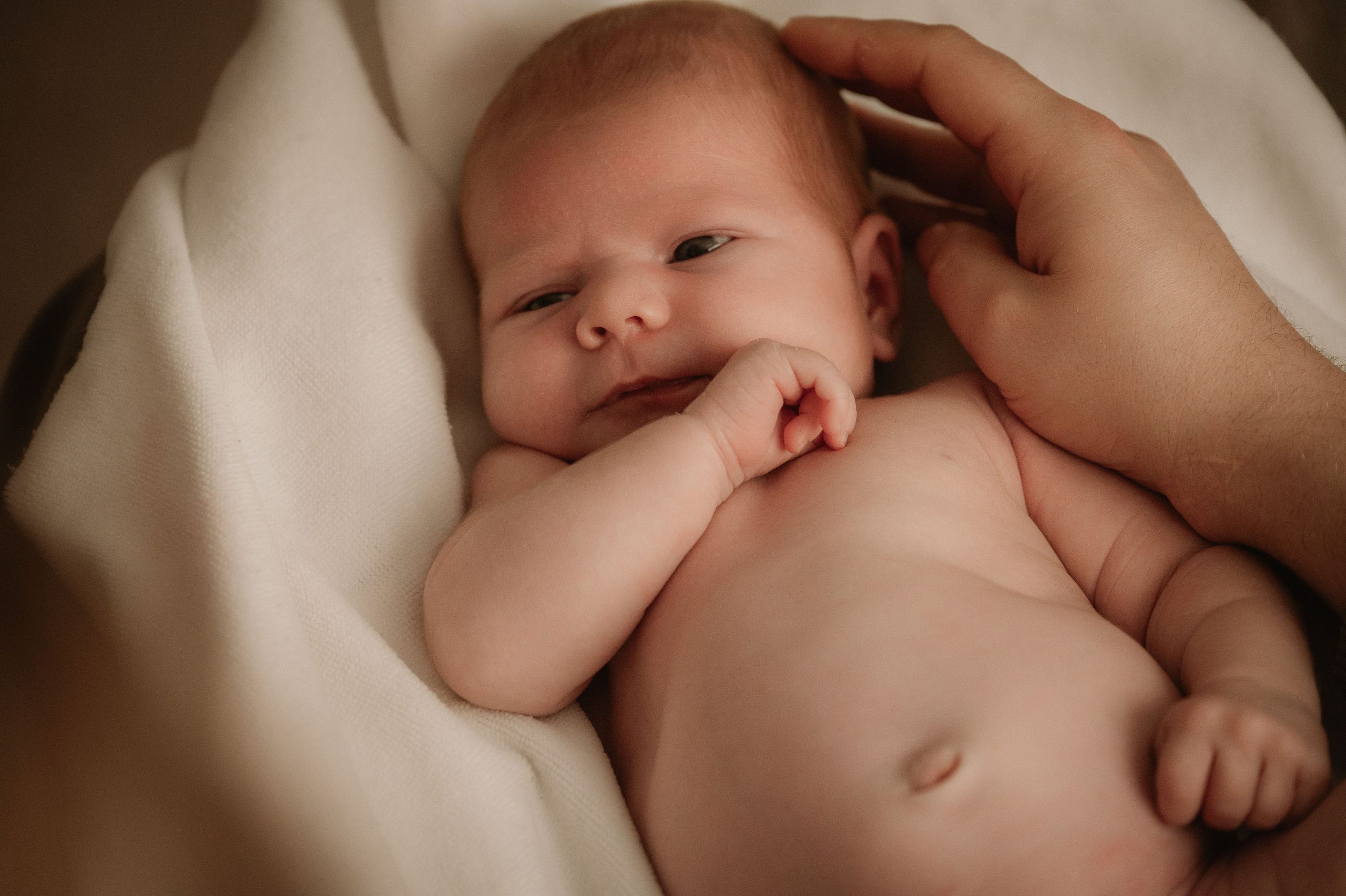 Лизавета, Никита и Мирослава. Фотограф беременности и семьи, домашние съемки, Ньюборн