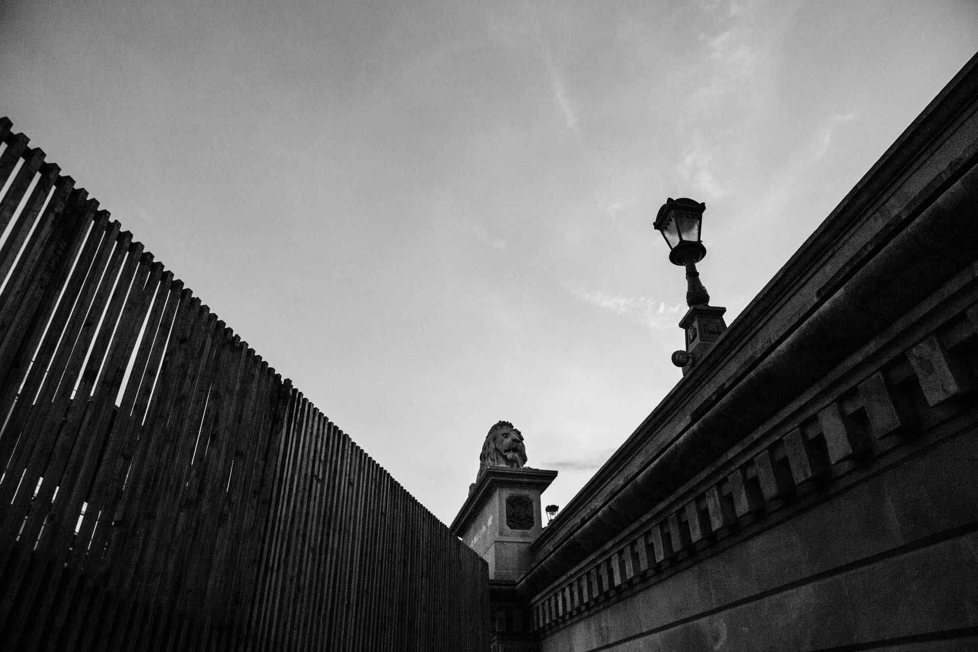 Lion | Budapest 2026 | CANON 6D