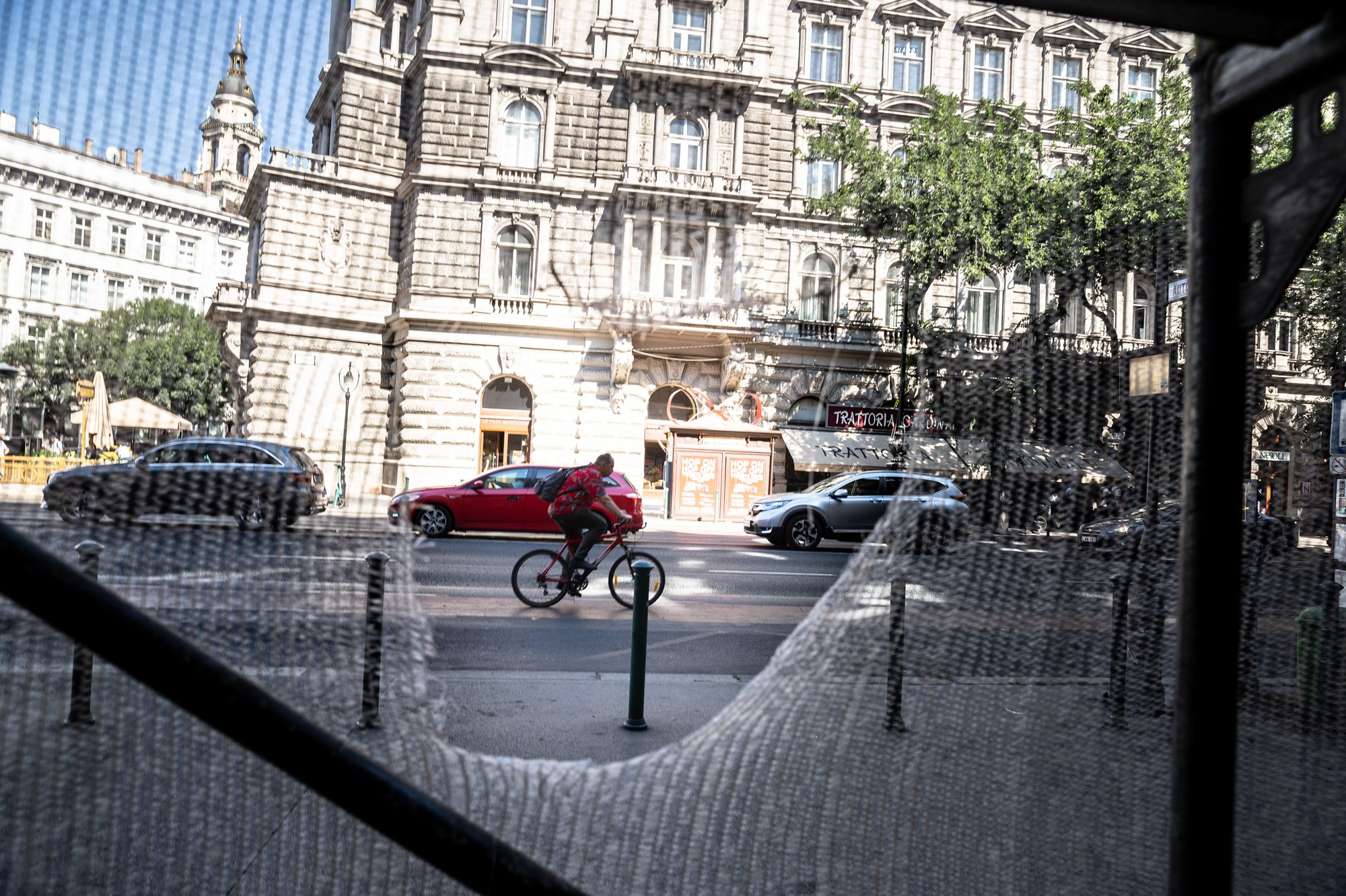 cyclist through the mesh