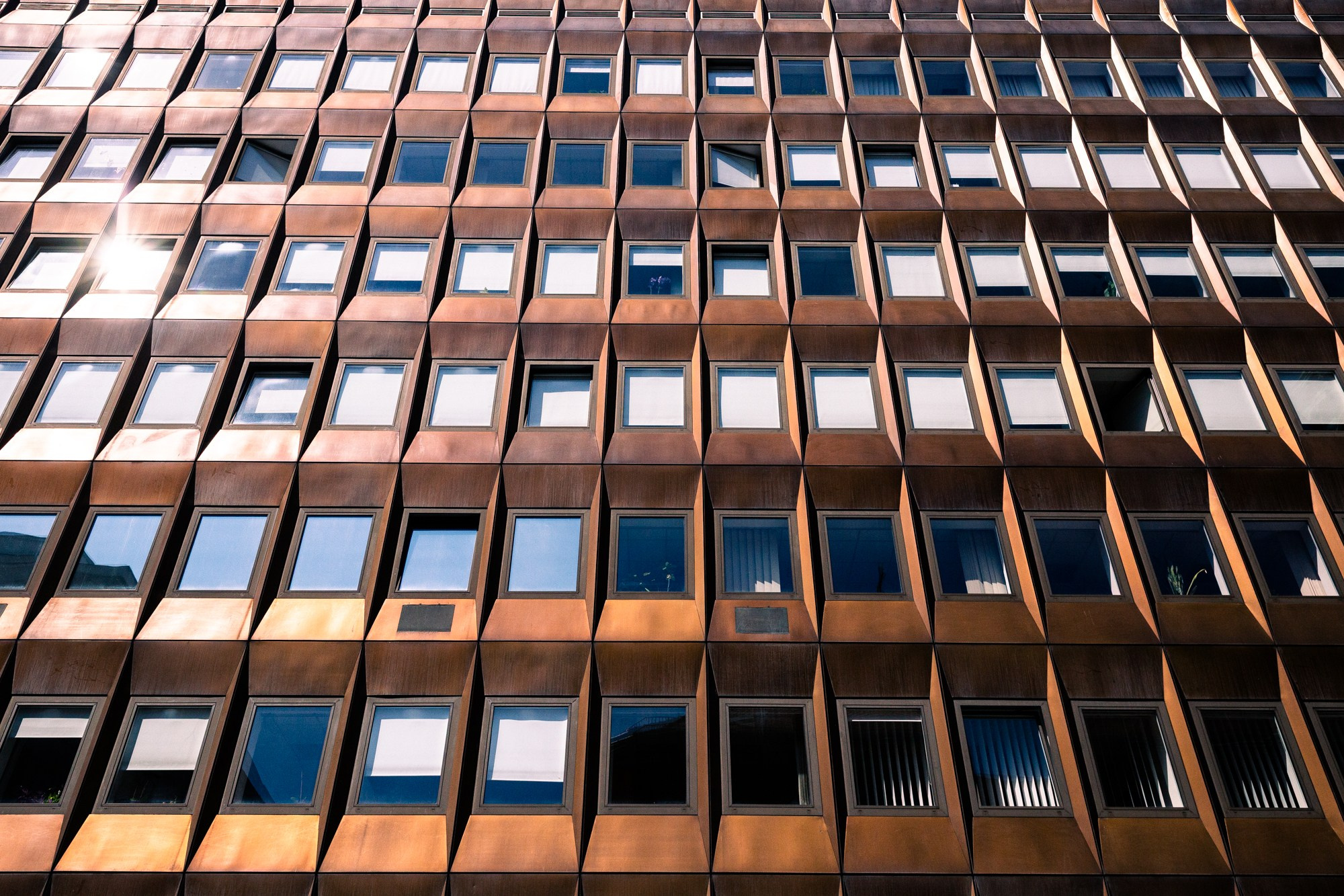 cells | Budapest 2026 | CANON 6D