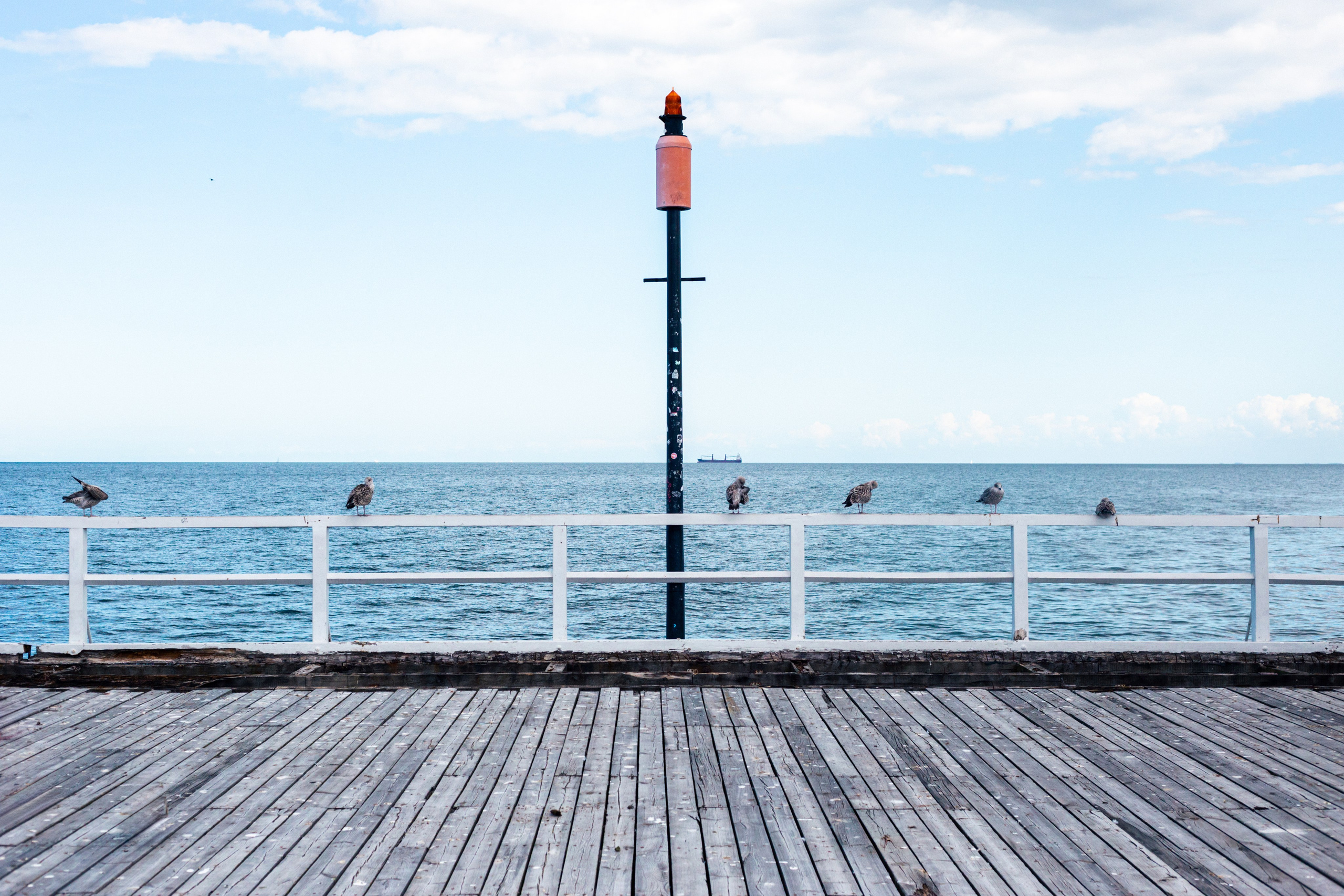 seagulls, sea, ship