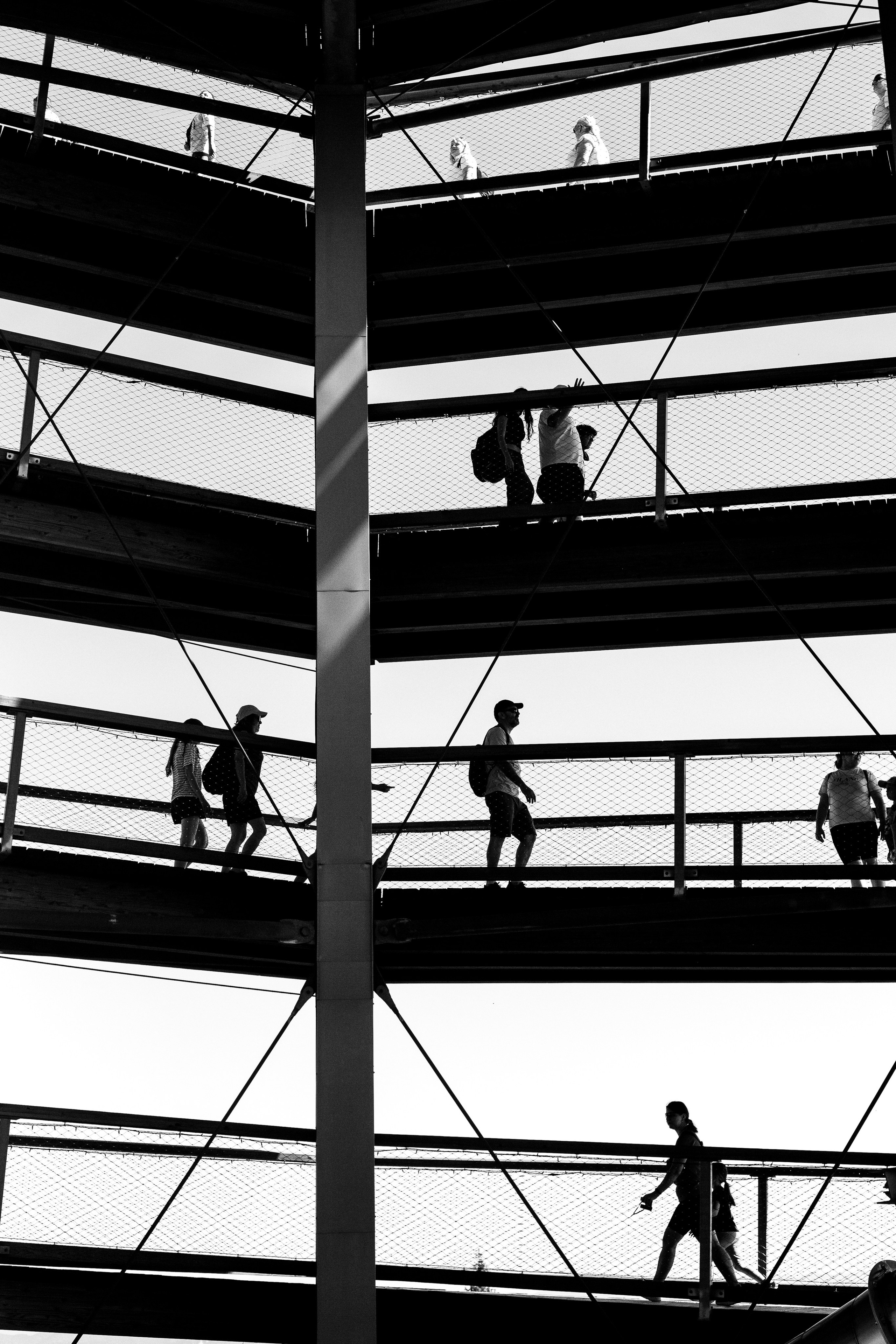 silhouettes of people