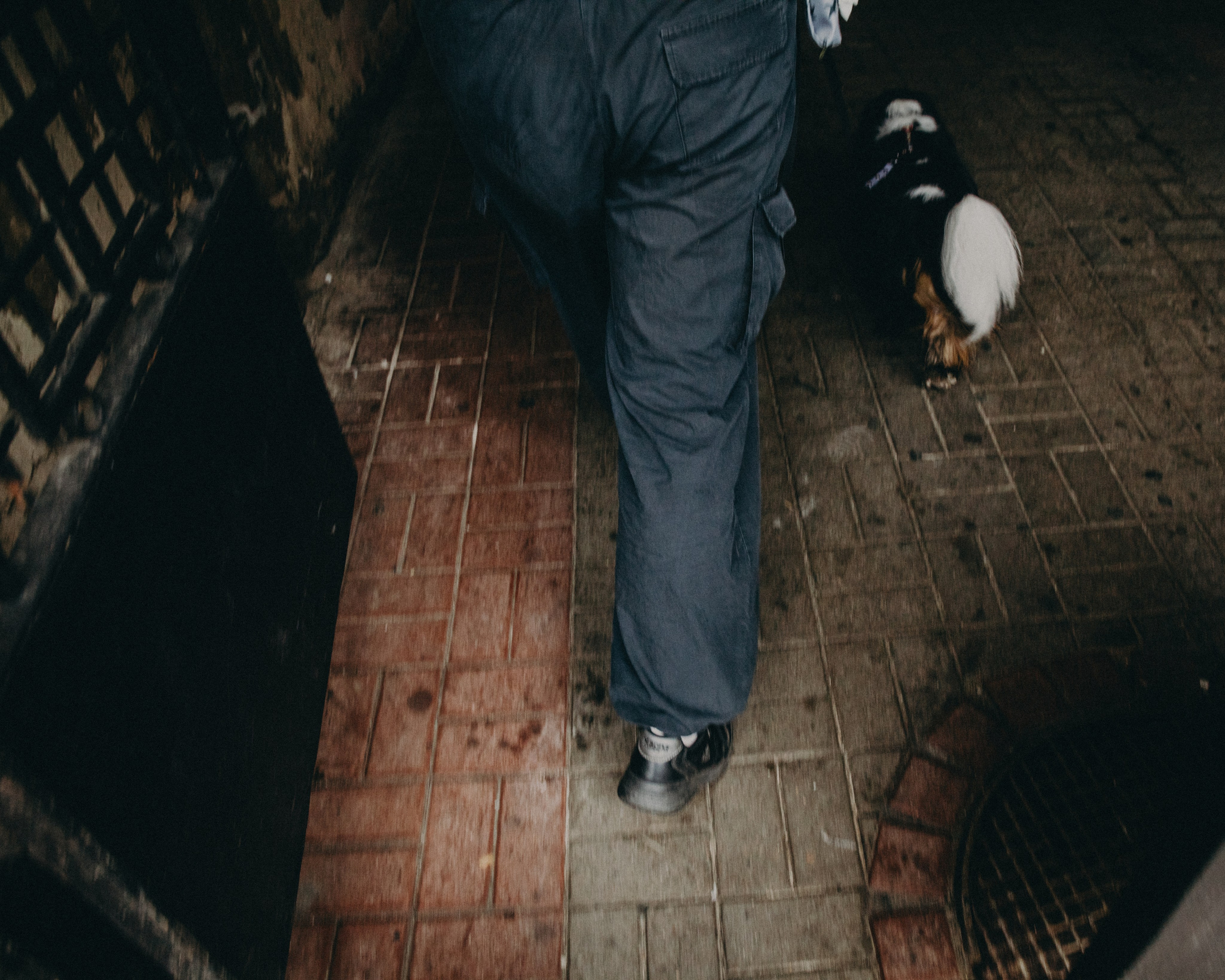 Гилдин. Портретный фотограф Ванинен Анастасия. Санкт-Петербург