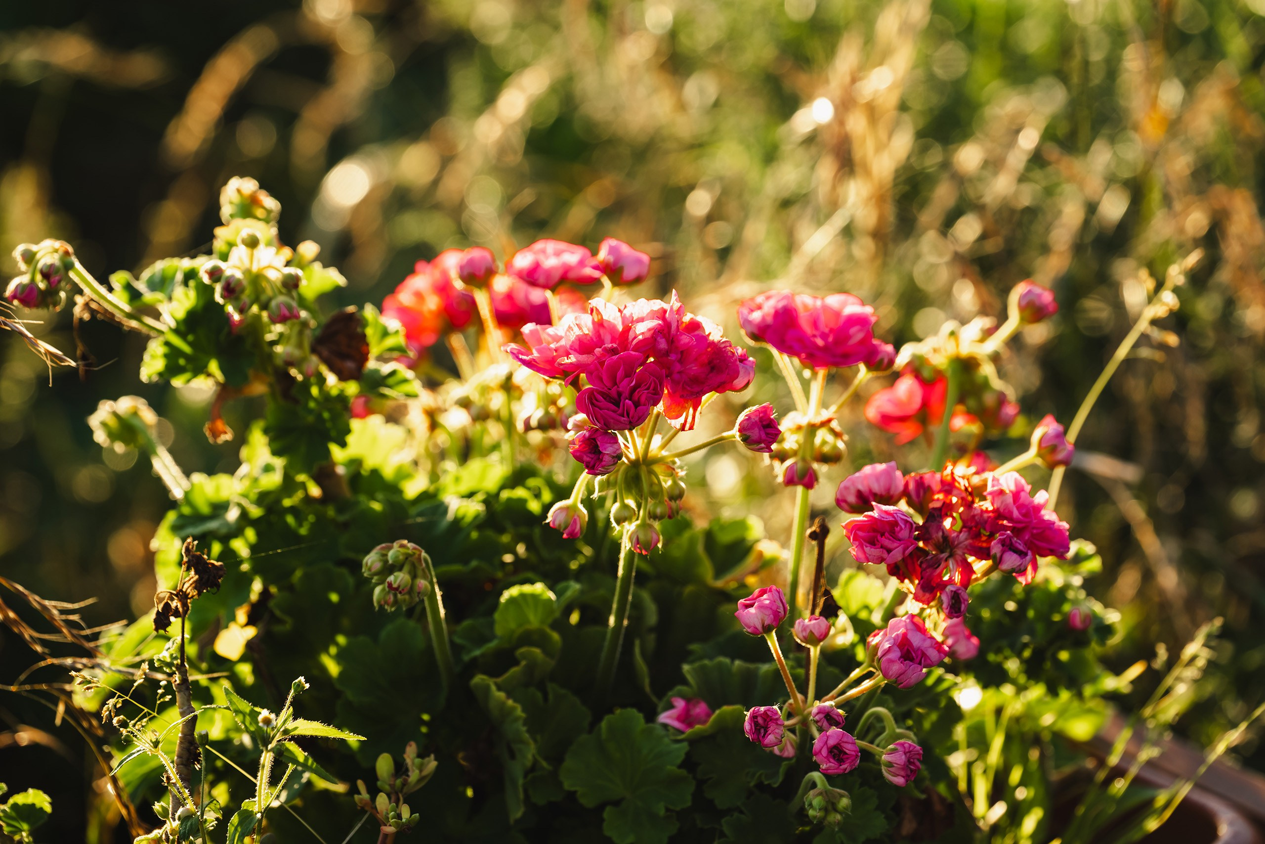 Проект сёрф лагерь Swell. Иван Зайцев (IZIART) — визуальные истории для брендов, людей и мест