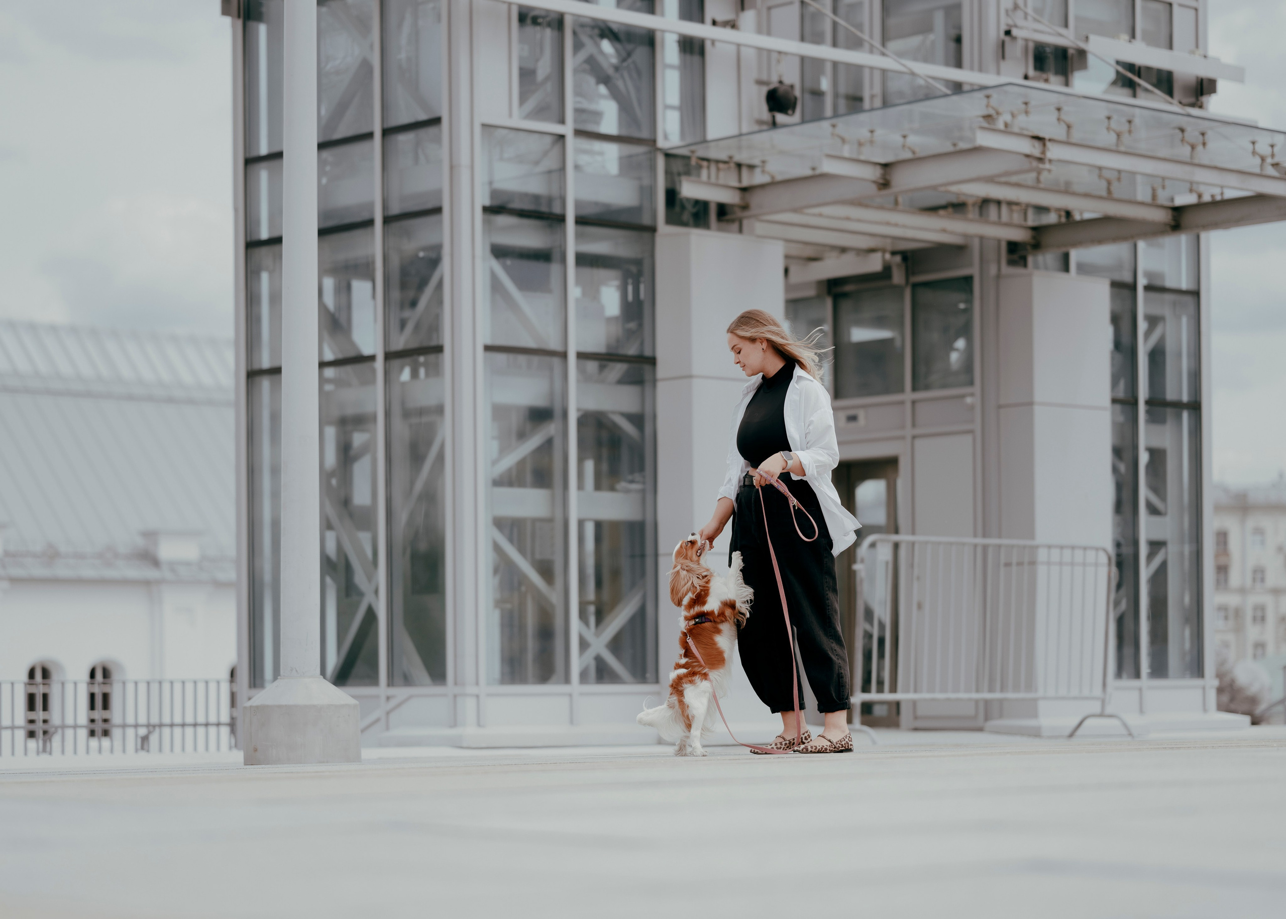 Дольче. Фотограф- анималист Александра Матвеева