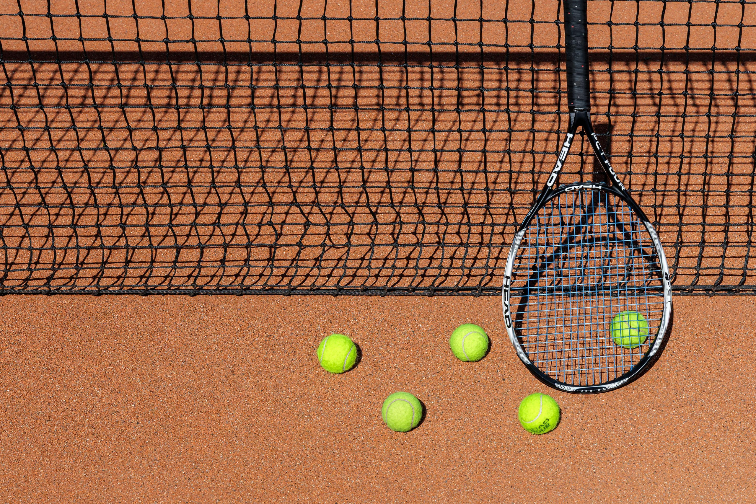 Cosmos Collection Izumrudny Les