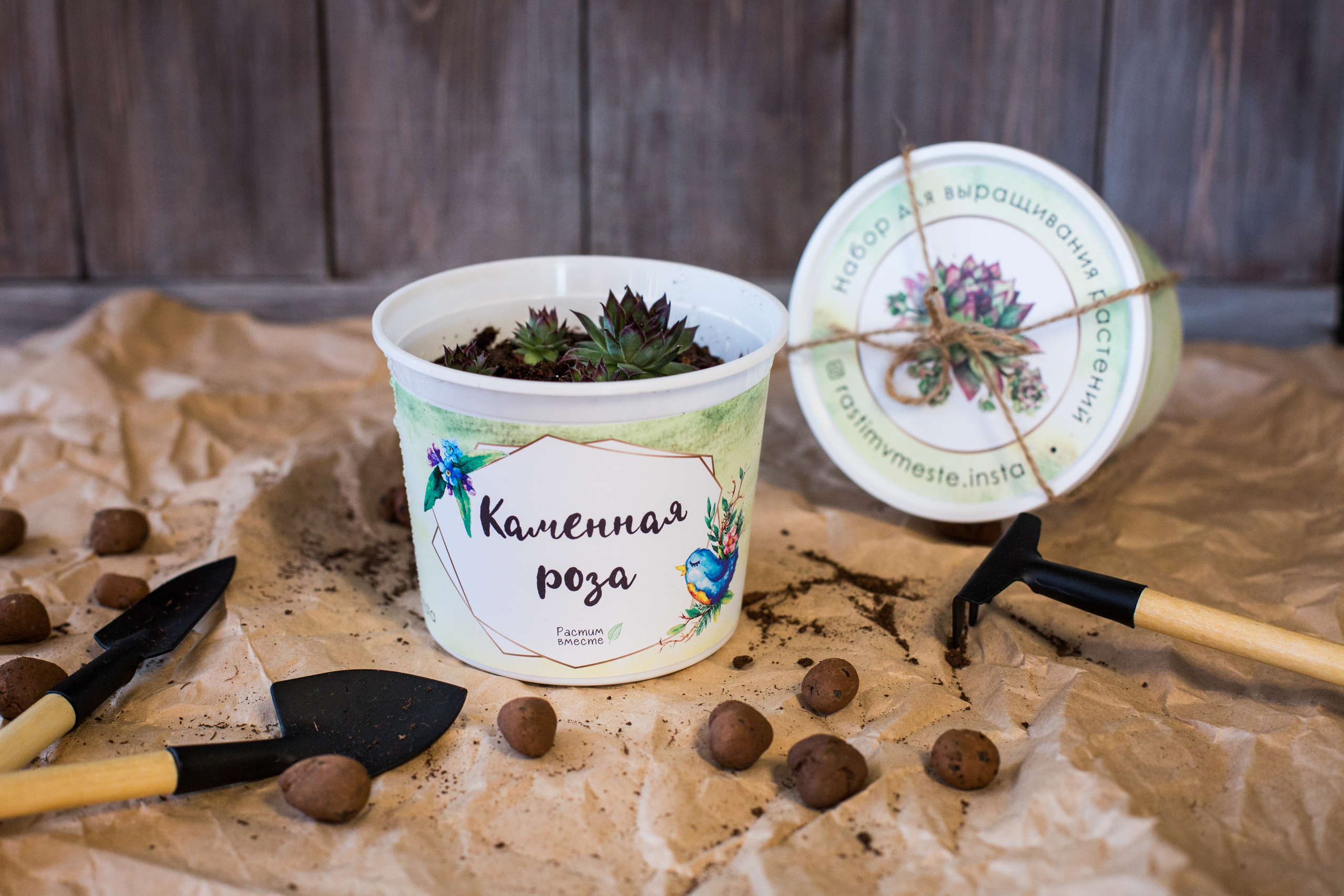 Растим вместе. Главная