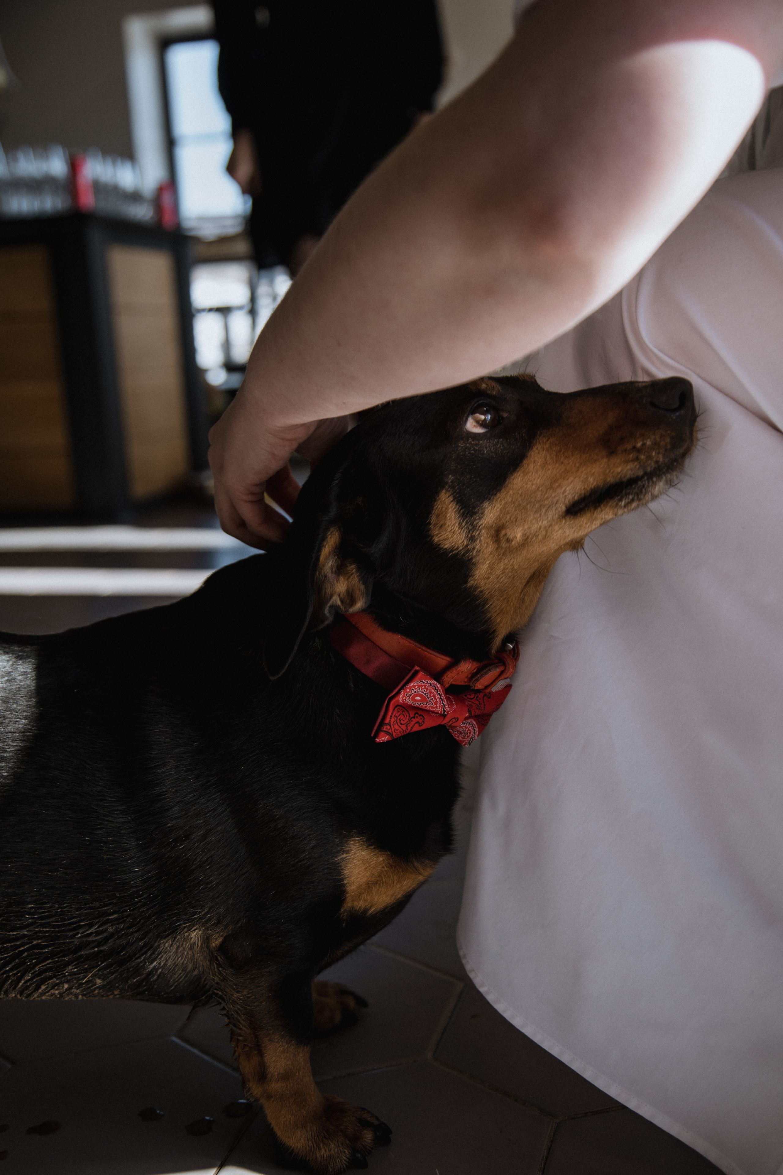 Рома и Кристина. Свадебный и портретный фотограф в Минске и по всему миру Ольга Нестер