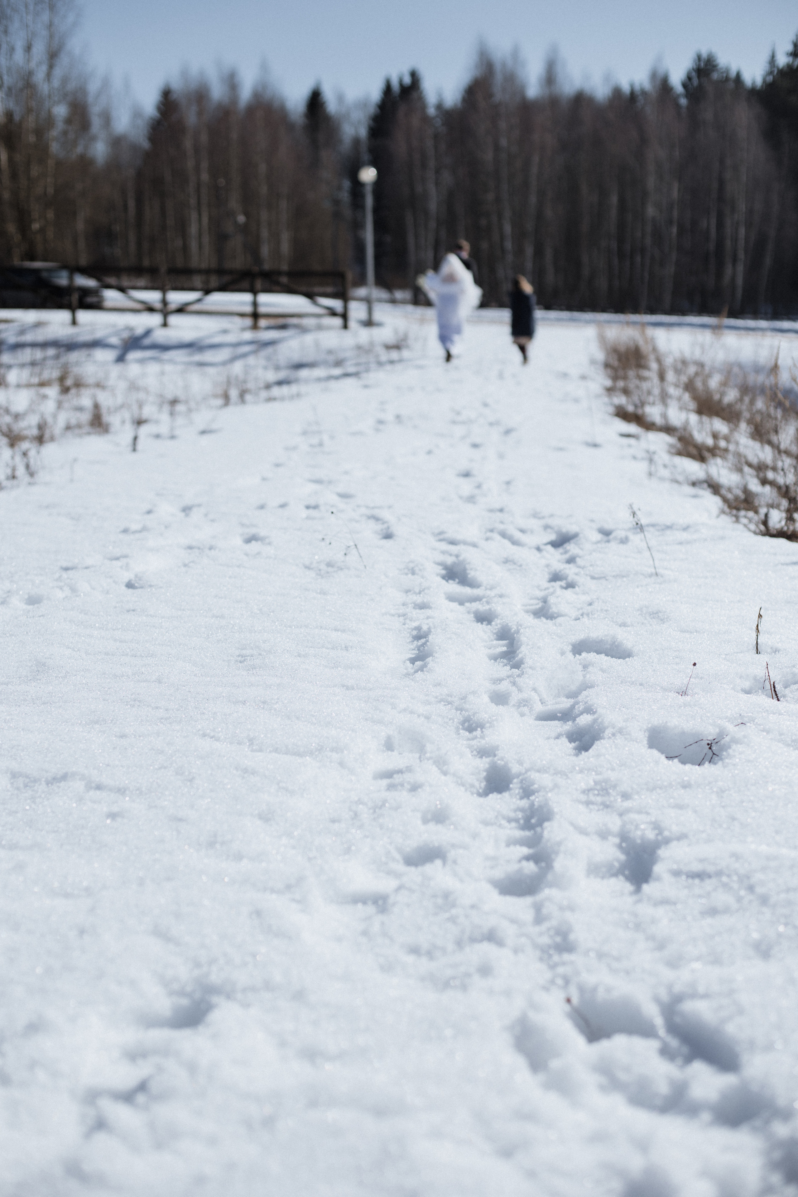 Рома и Кристина. Свадебный и портретный фотограф в Минске и по всему миру Ольга Нестер
